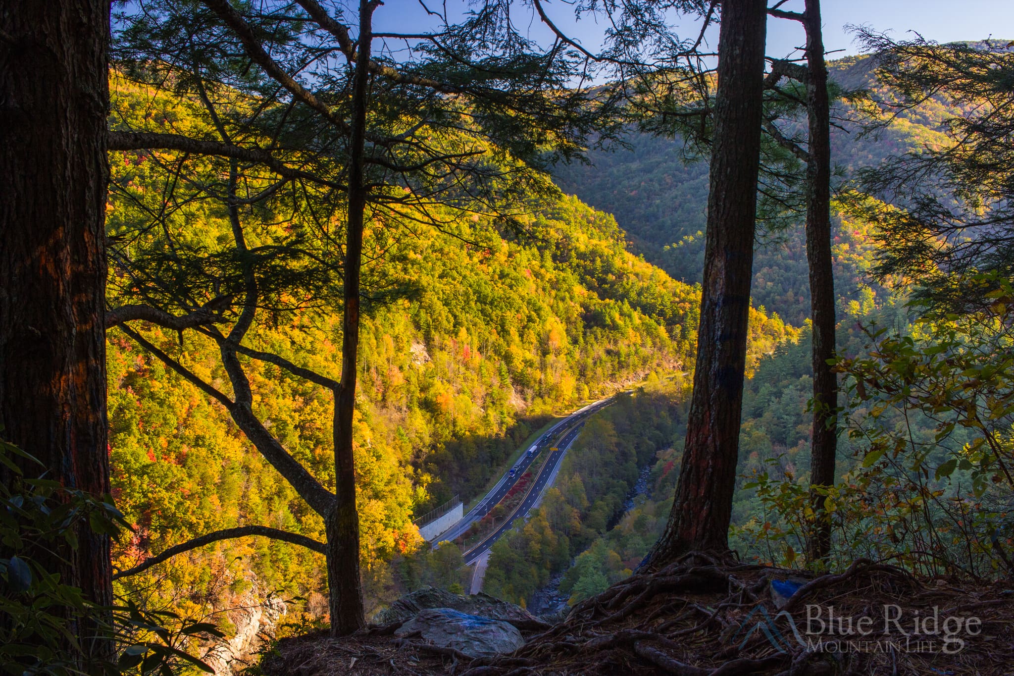 Buzzard's Roost North Carolina Buzzard's Roost North Carolina