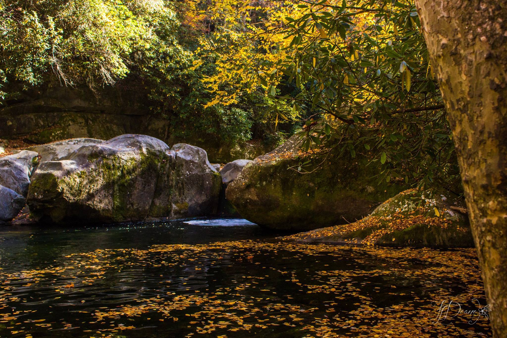 Fall at Midnight Hole