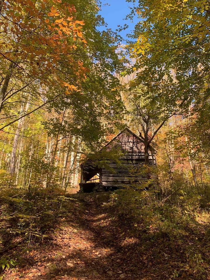 Hannah Cabin in Little Cataloochee Valley Hannah Cabin in Little Cataloochee Valley