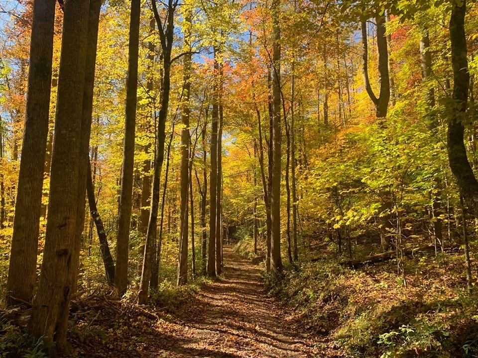 Little Cataloochee Trail Little Cataloochee Trail