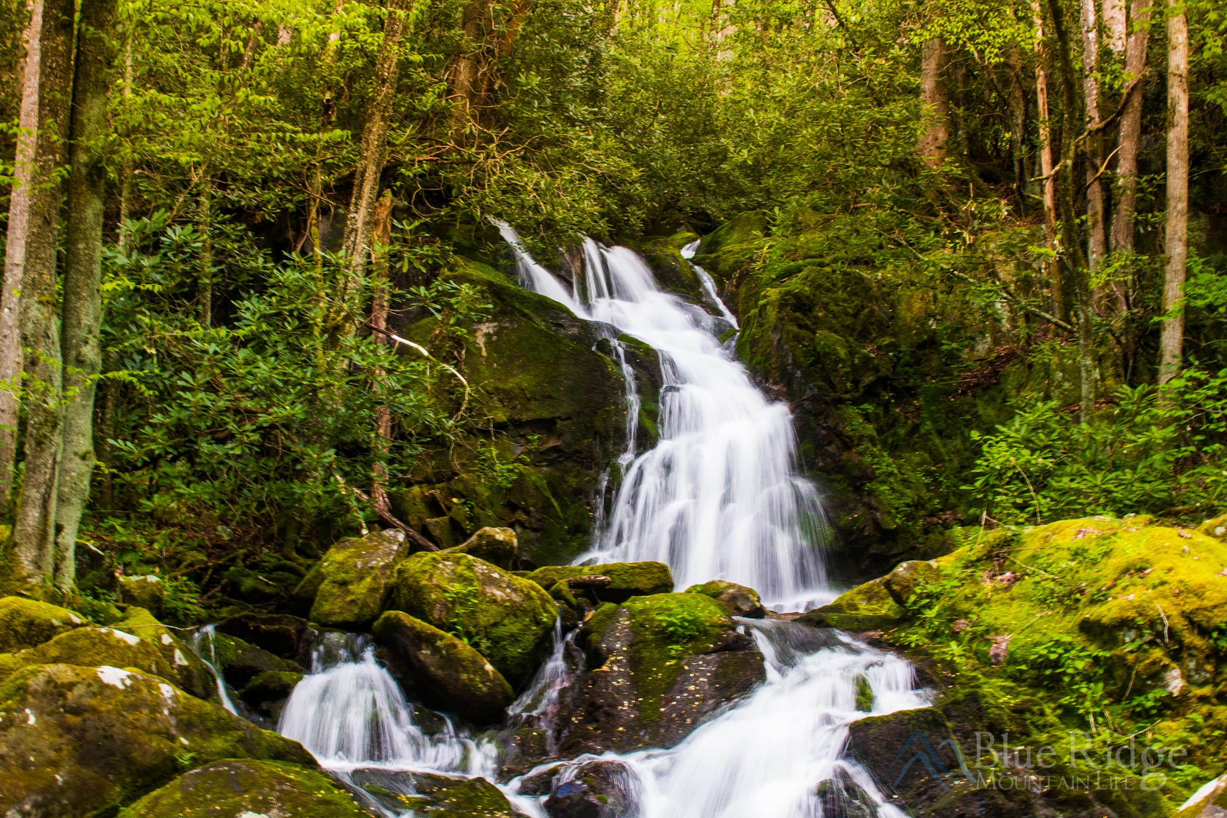 Mouse Creek Falls