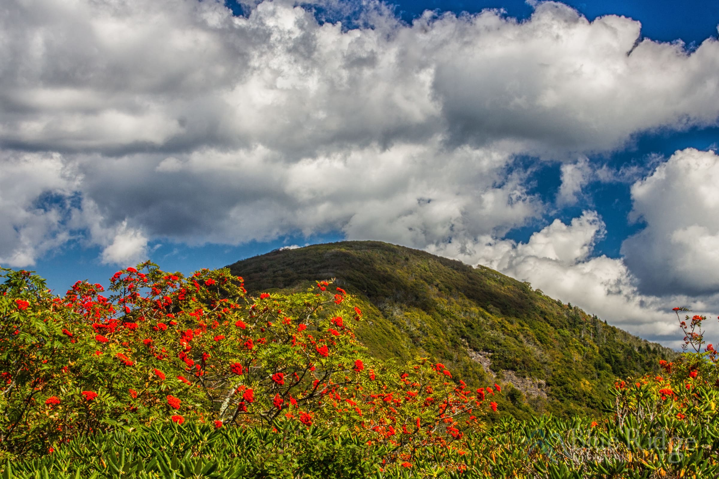 Craggy Gardens Craggy Gardens