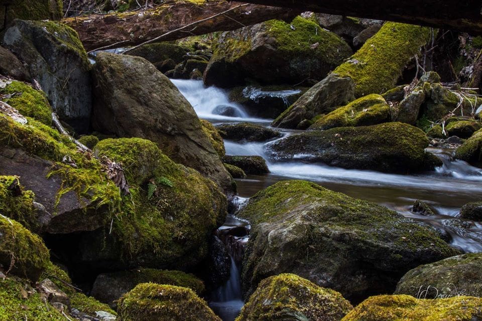 Below Little Bird Falls NC Below Little Bird Falls NC