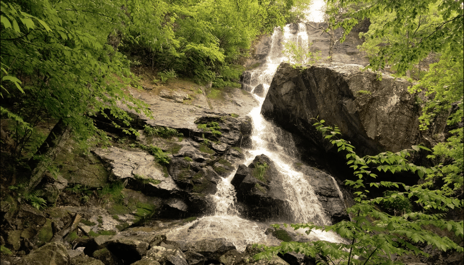 Apple Orchard Falls Virginia Apple Orchard Falls Virginia