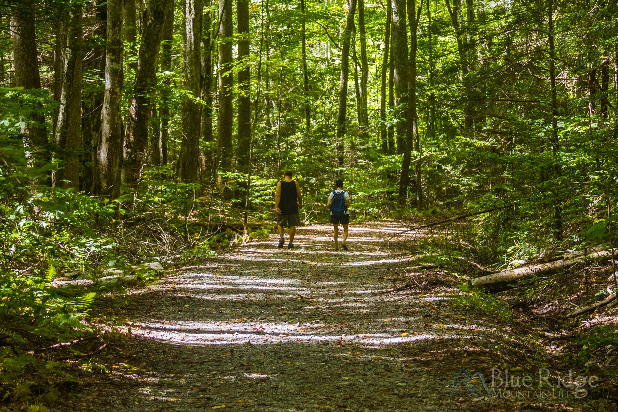 Little River Trail, Elkmont