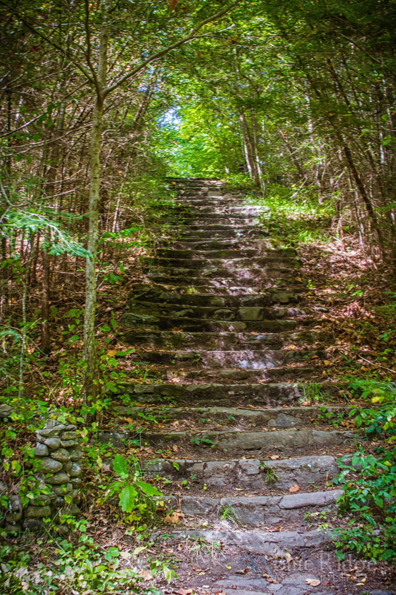 Wonderland Hotel Stairs