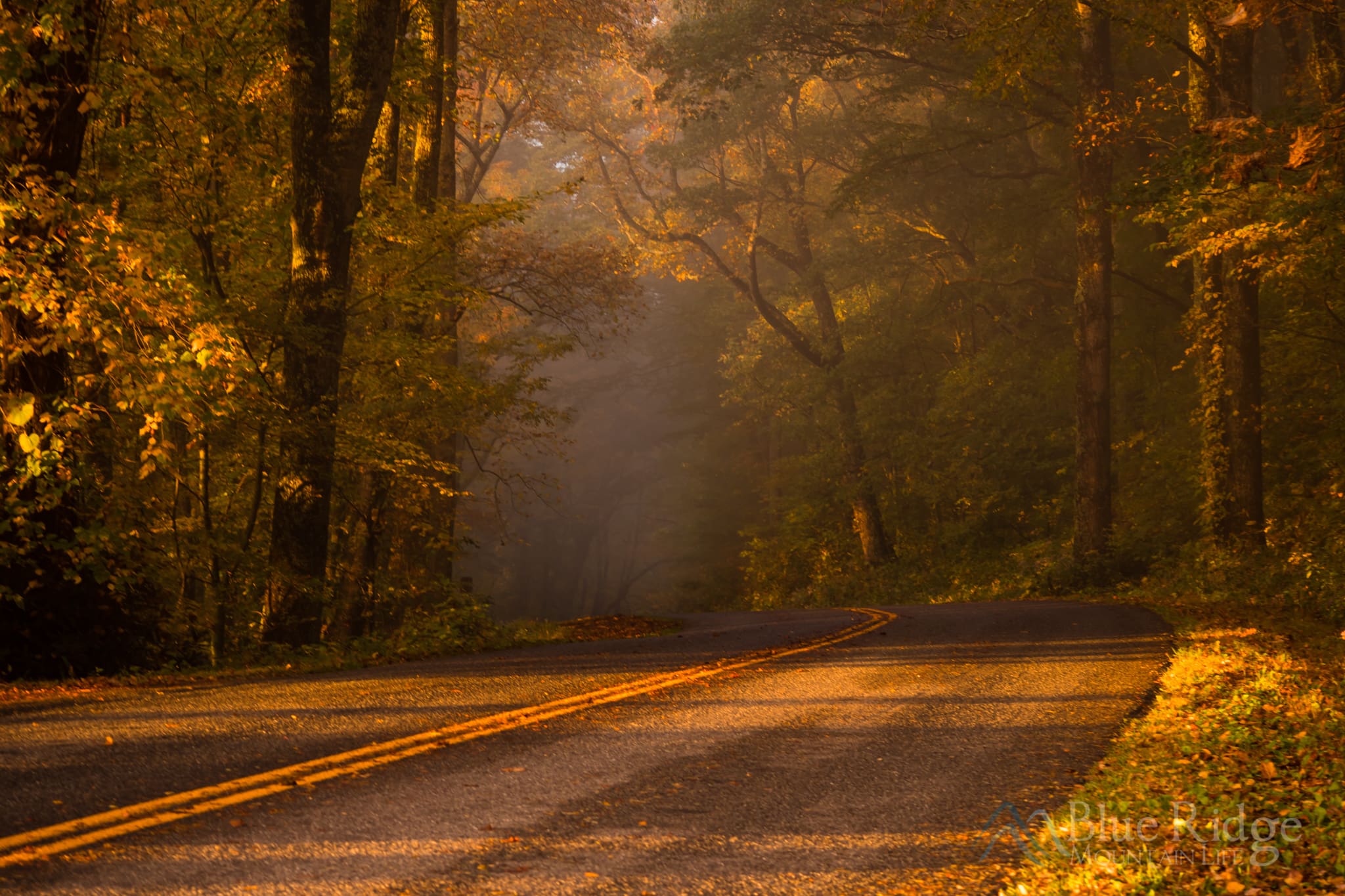 Fall on the Blue Ridge Parkway Fall on the Blue Ridge Parkway