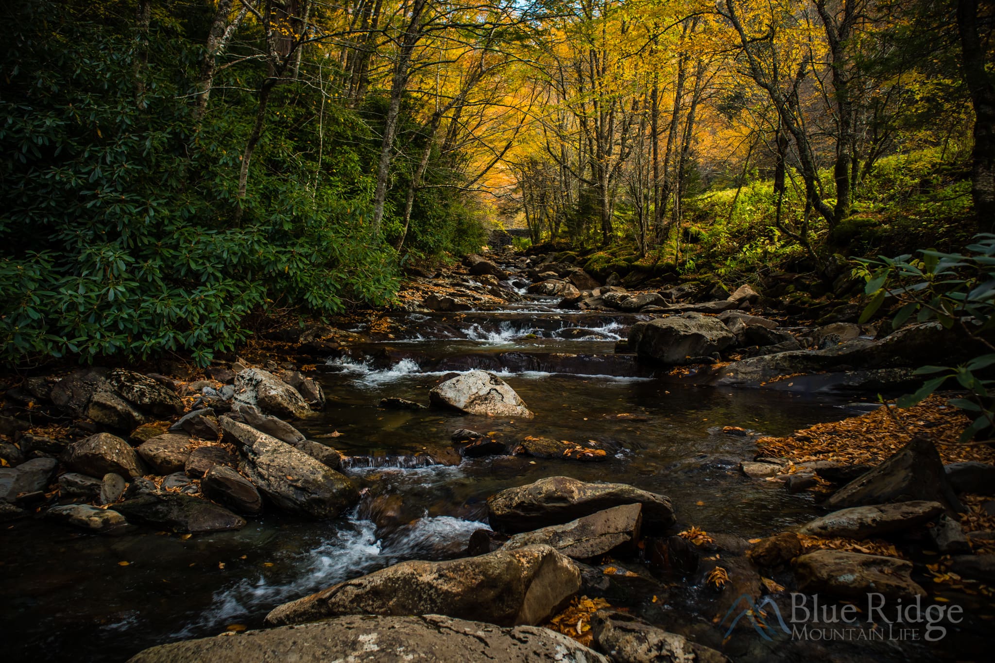 Fall Colors at Creek, Great Smoky Mountains National Park Fall Colors at Creek, Great Smoky Mountains National Park