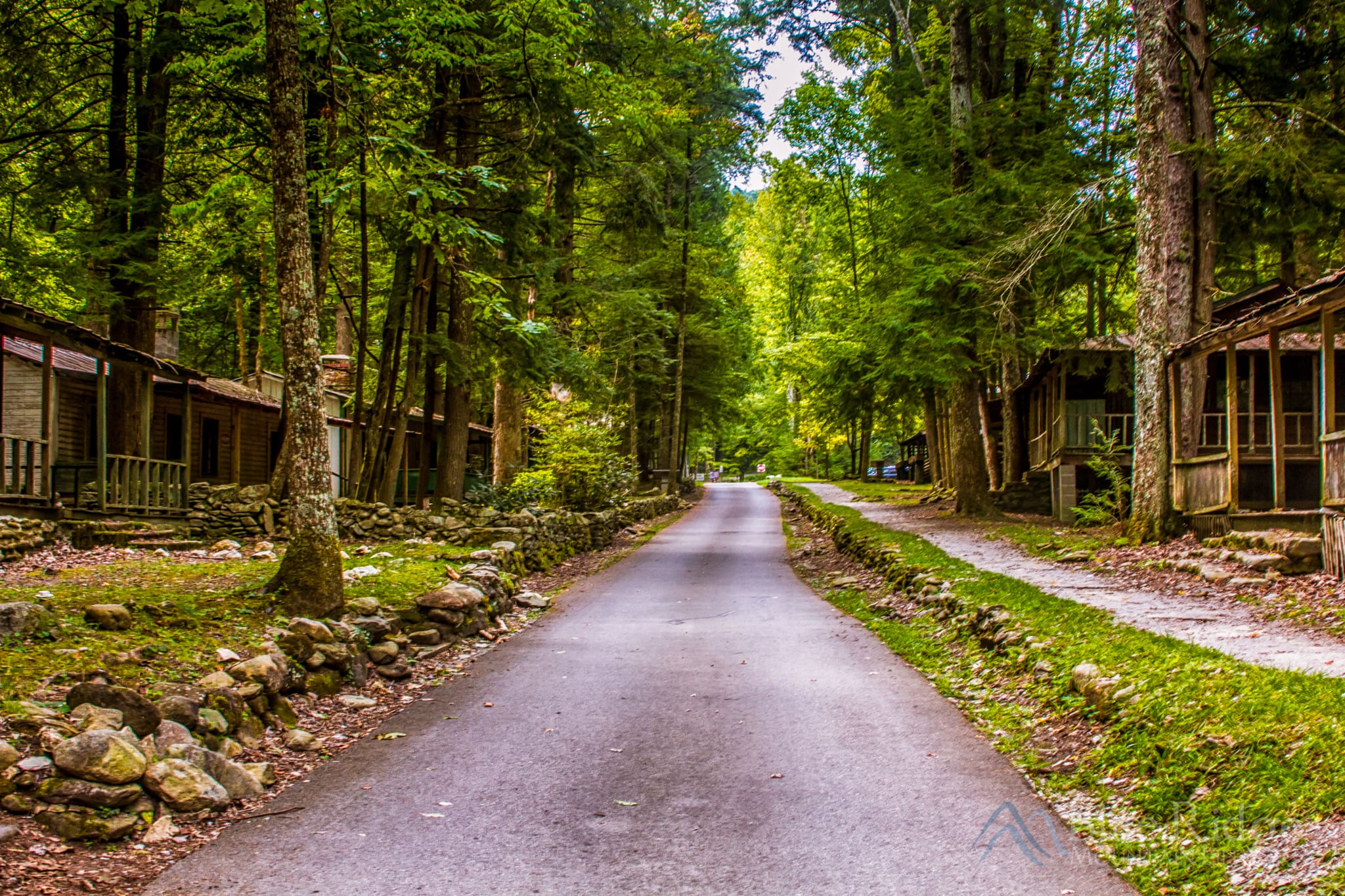 Elkmont Daisy Town