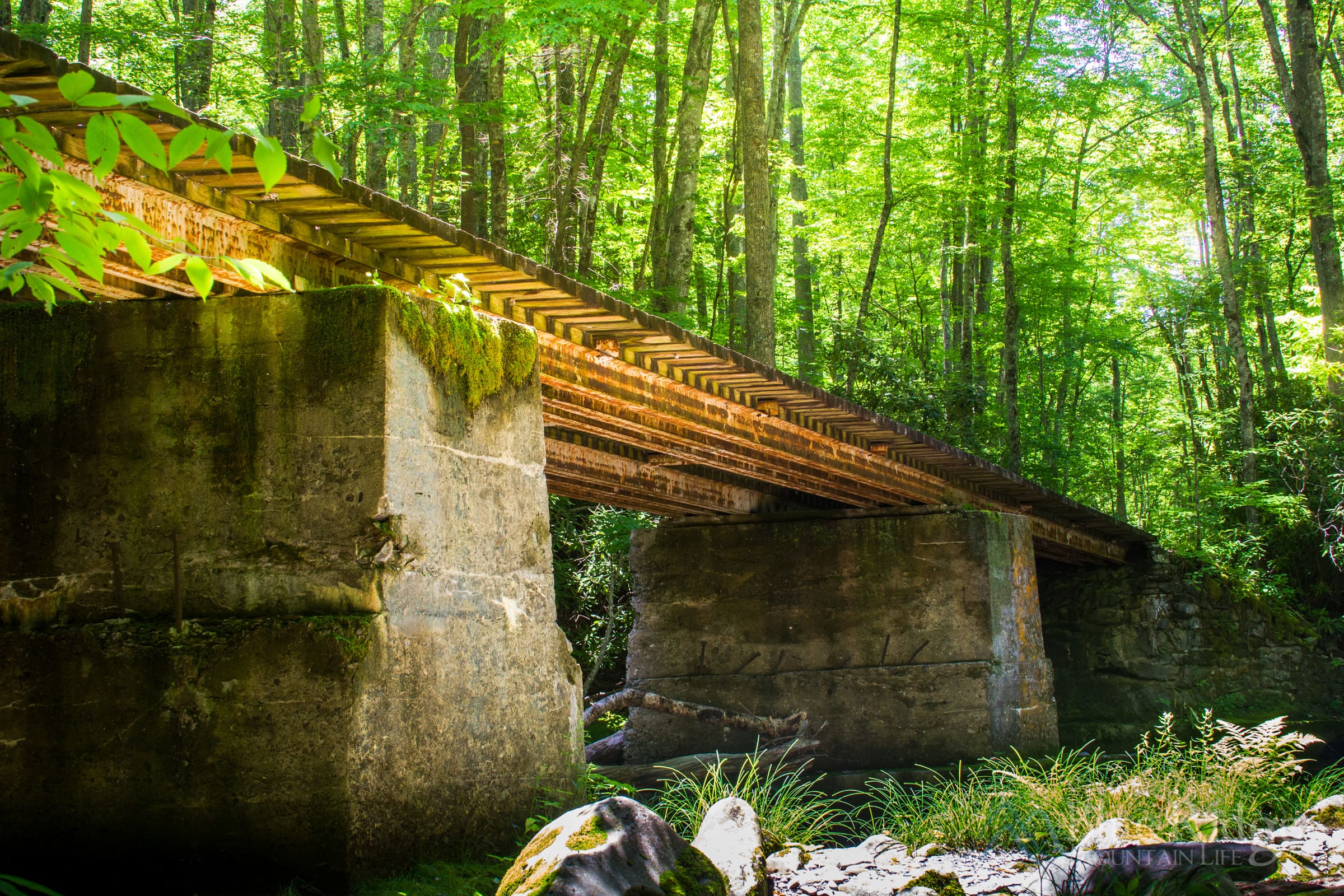 Little River Trail Elkmont
