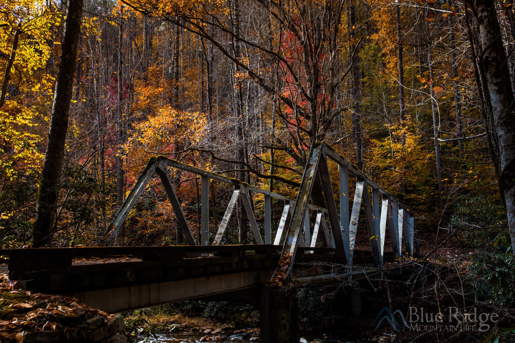 Bridge in Cataloochee Valley Fall Bridge in Cataloochee Valley Fall
