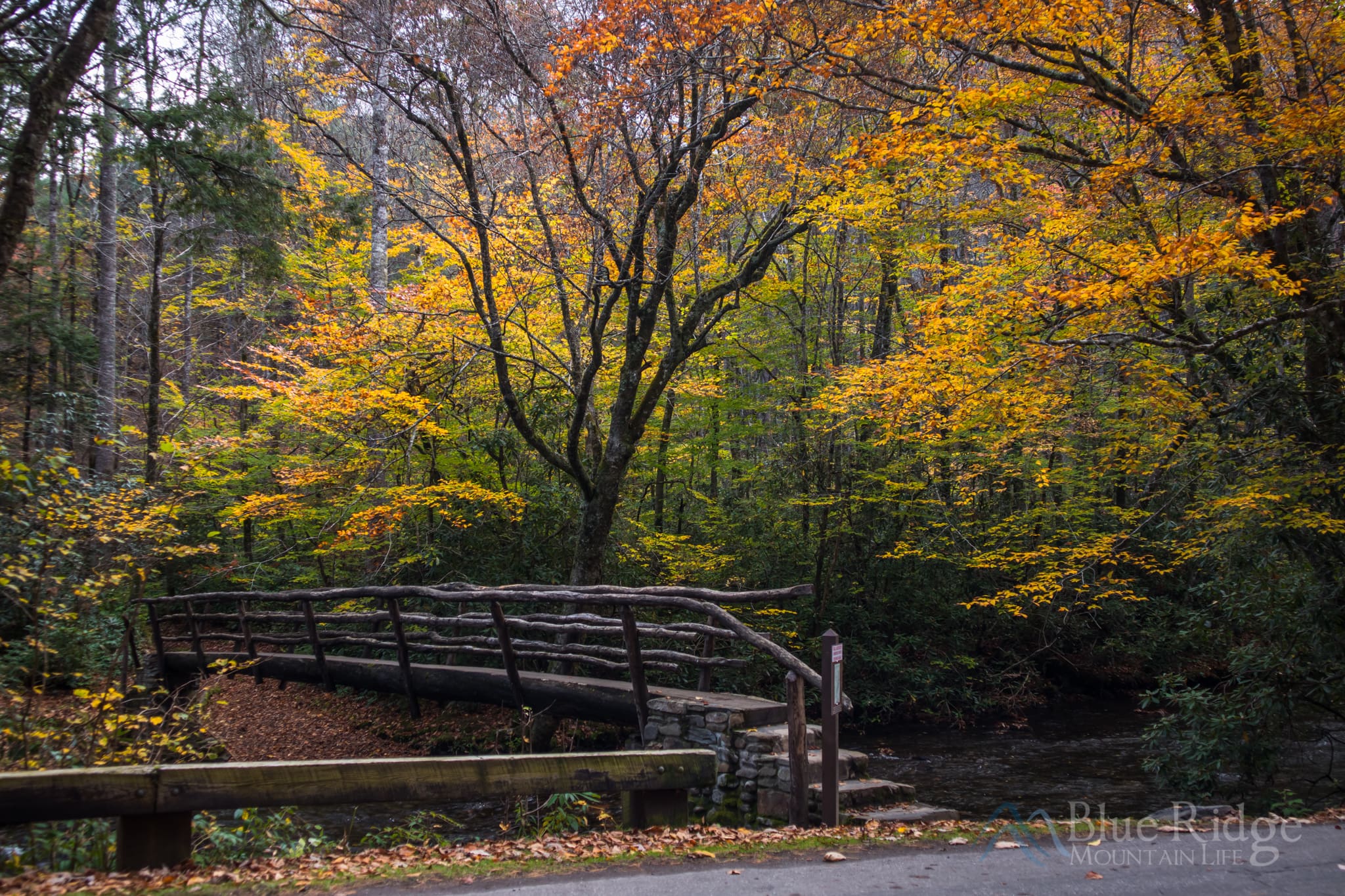 Cataloochee Valley Fall Cataloochee Valley Fall
