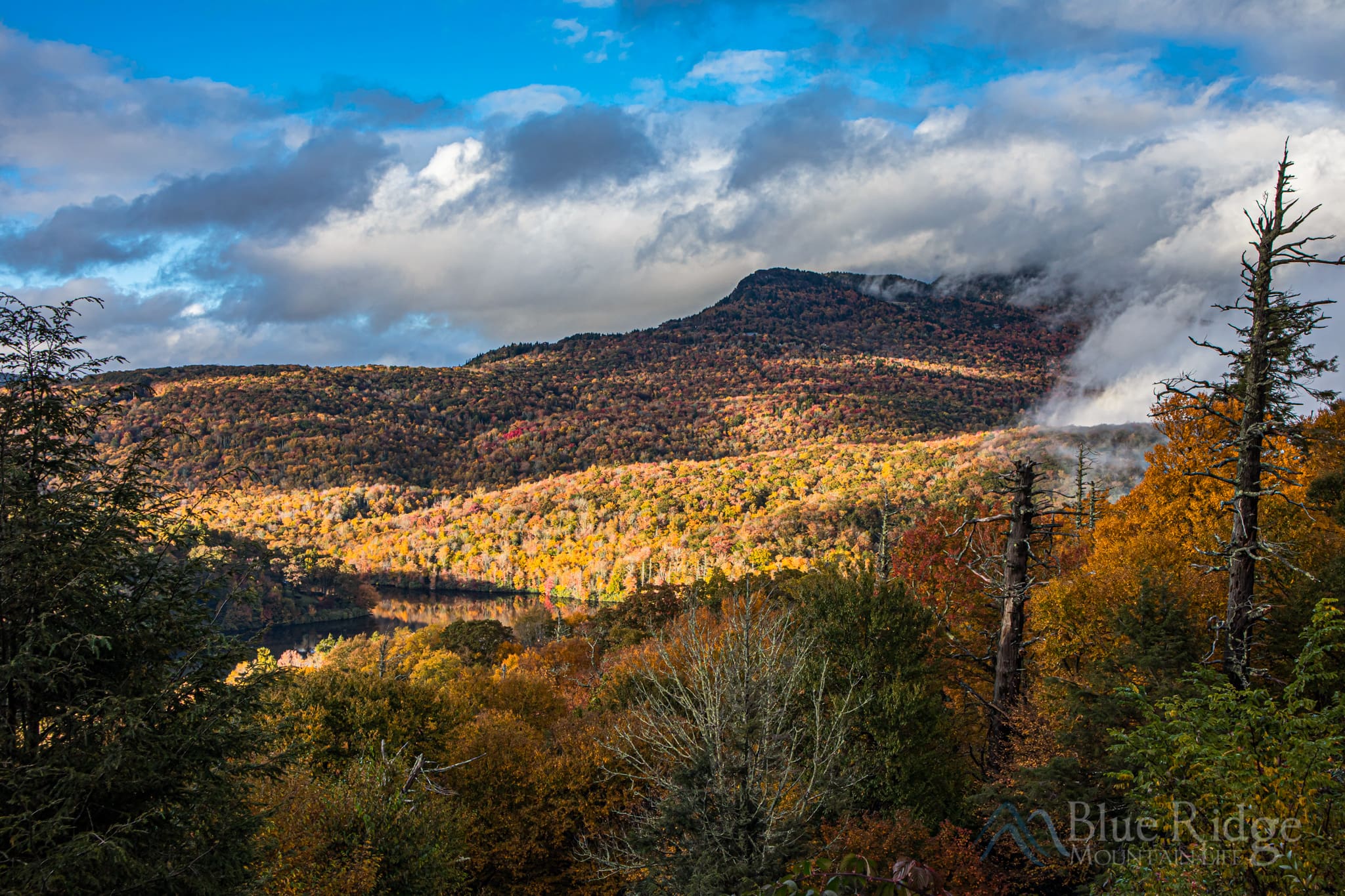 Fall at Grandfather Mountain