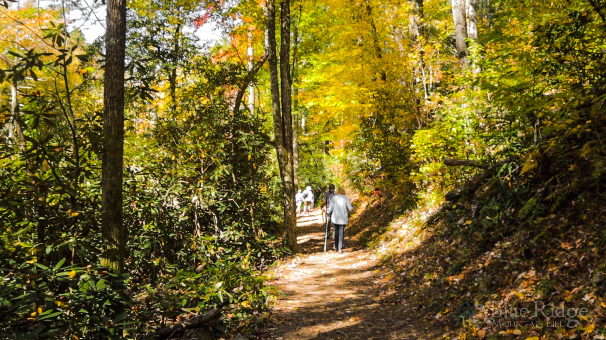 2Abrams-Falls-Trail