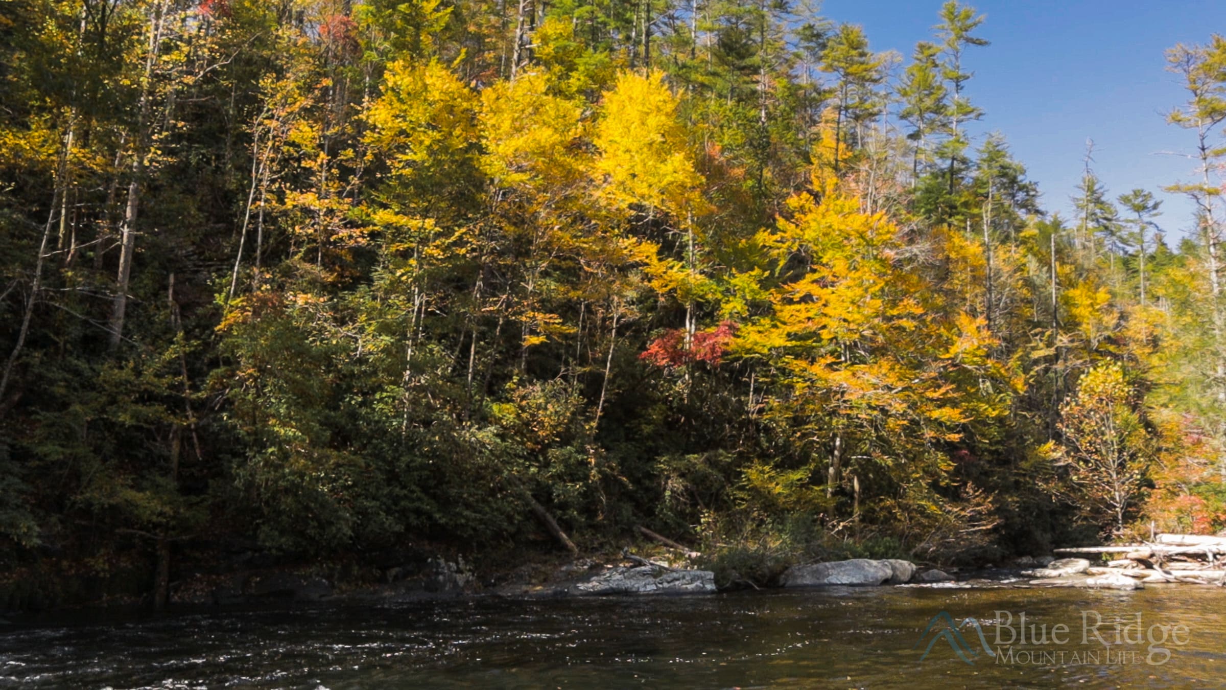 7Abrams-Falls-Fall4