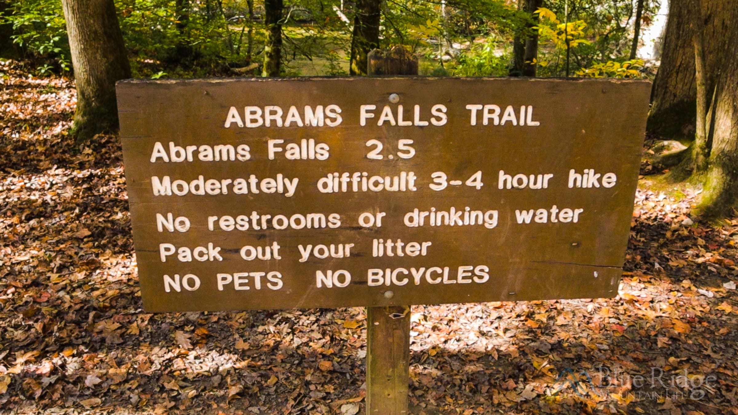 9Abrams-Falls-Trail-Sign