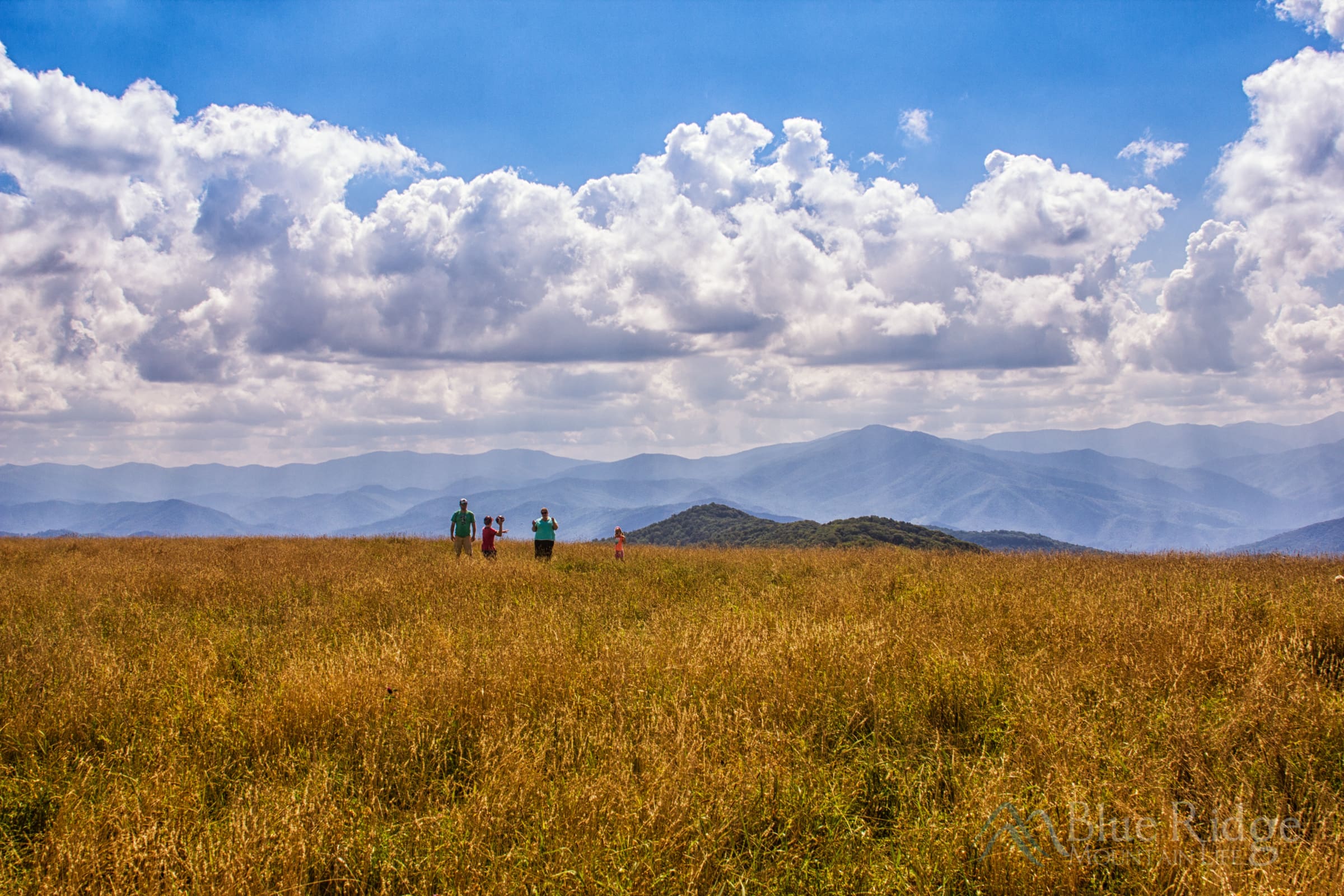 North Carolina Mountains - Max Patch Summit North Carolina Mountains - Max Patch Summit