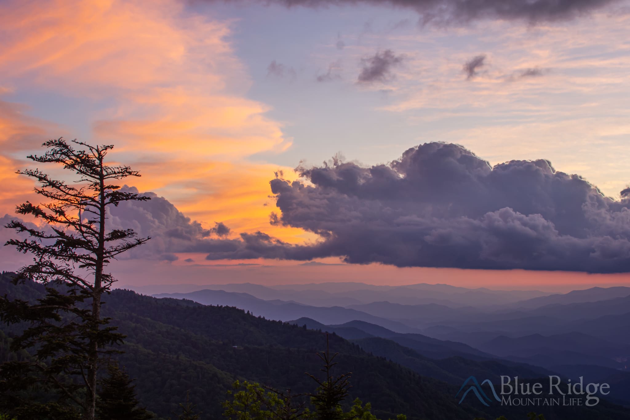 10IMG_0194-HDR