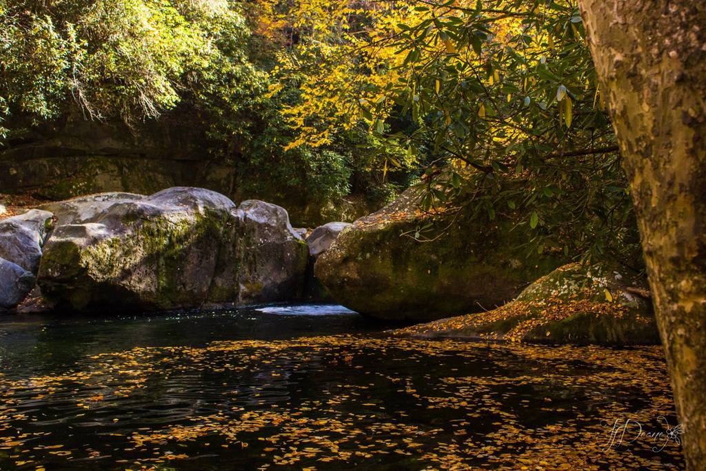 Fall at Midnight Hole in Big Creek