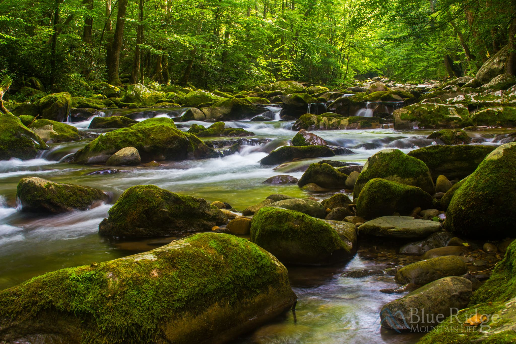 Big Creek Great Smoky Mountains Big Creek Great Smoky Mountains