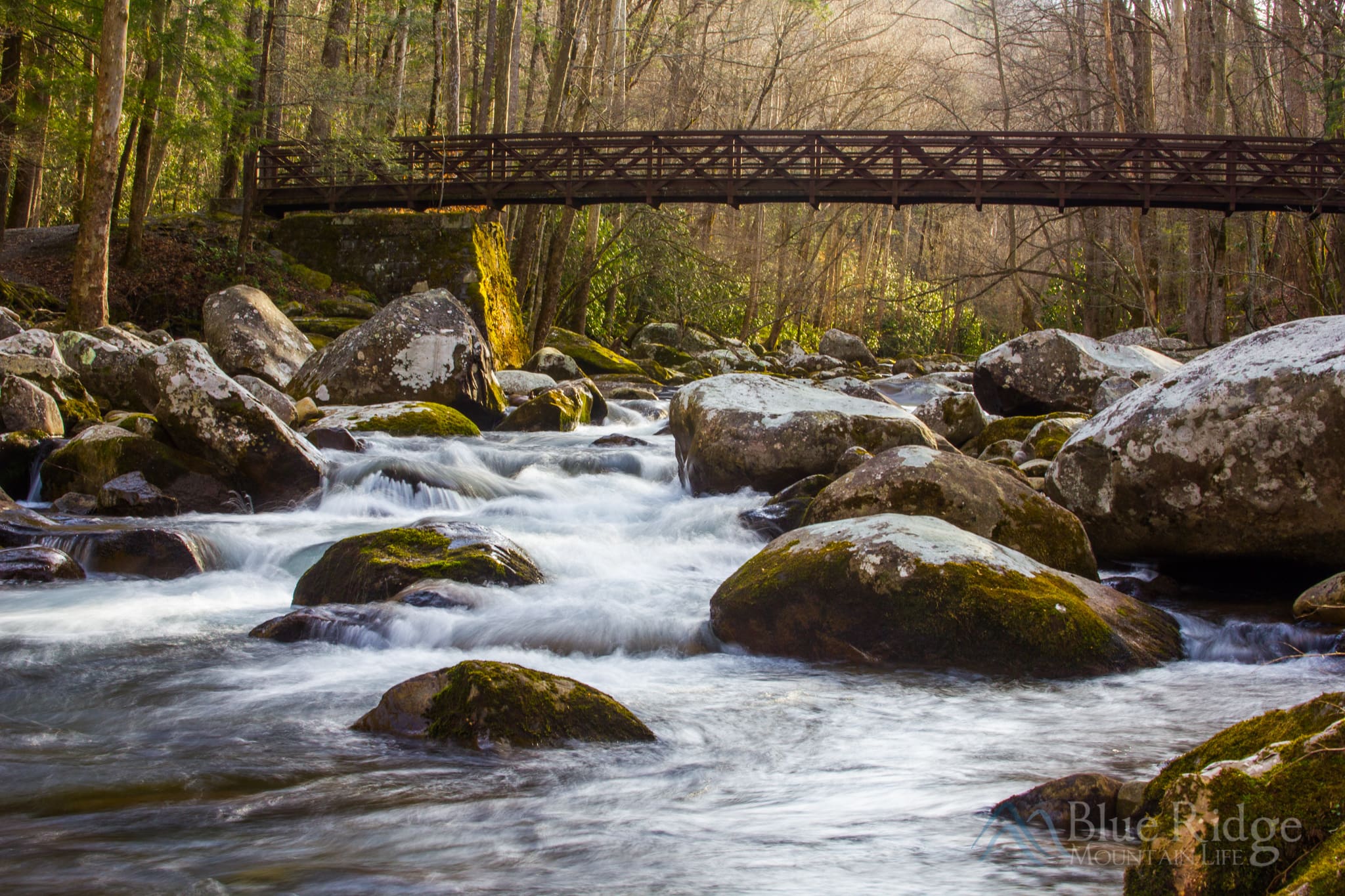 Bridge at Baxter Creek Trail