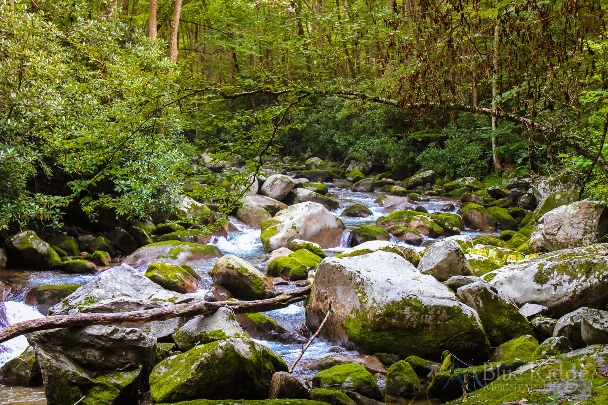 Big Creek, Great Smoky Mountains National Park