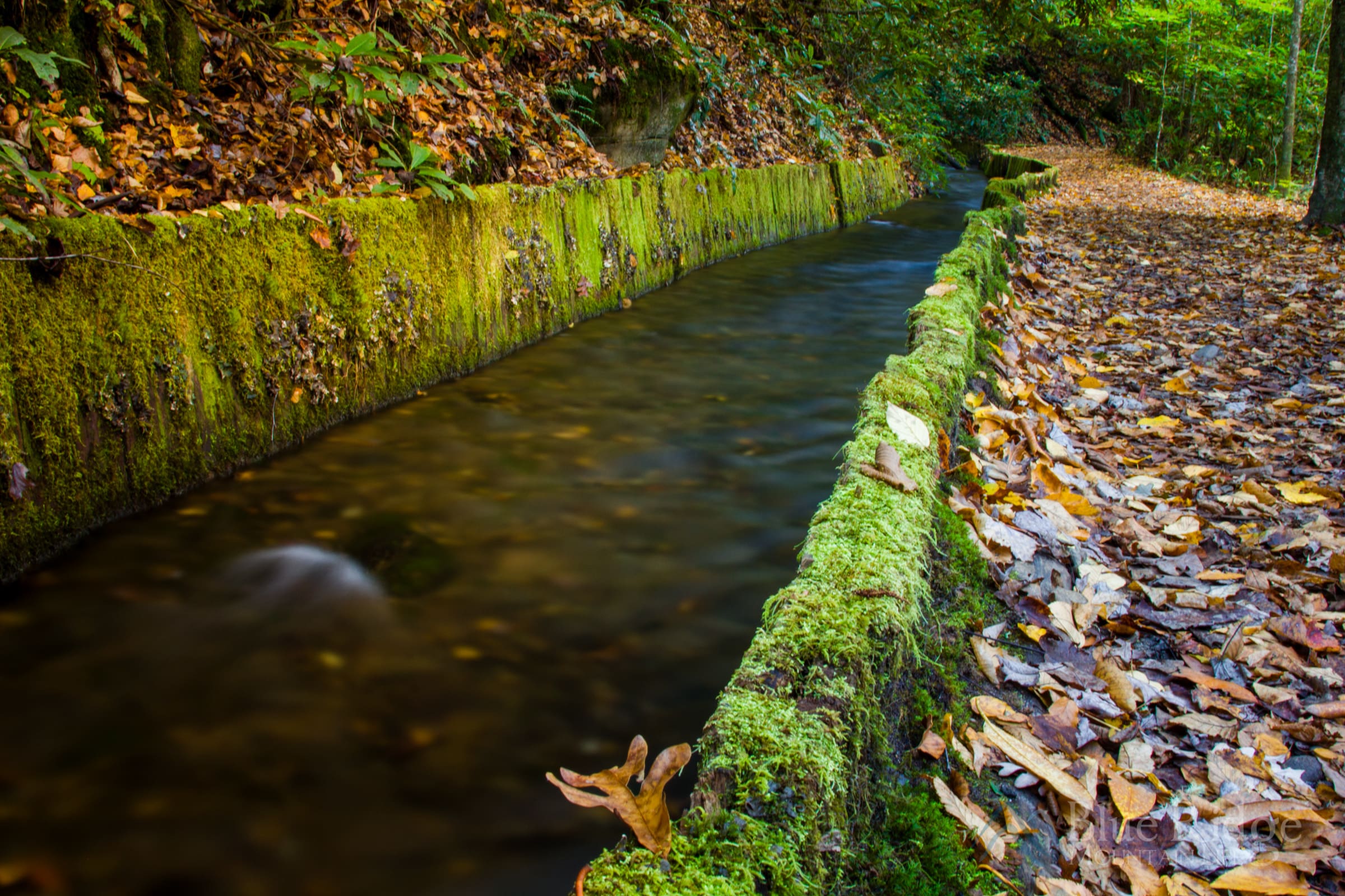 Mill Chase at Mingus Mill