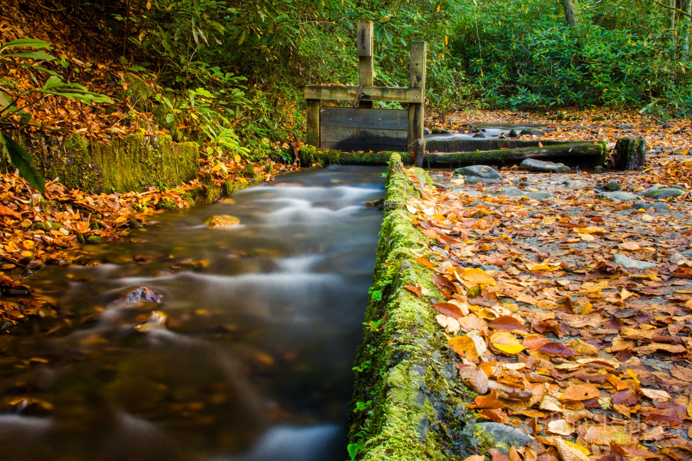 Mill Dam at Mingus Creek