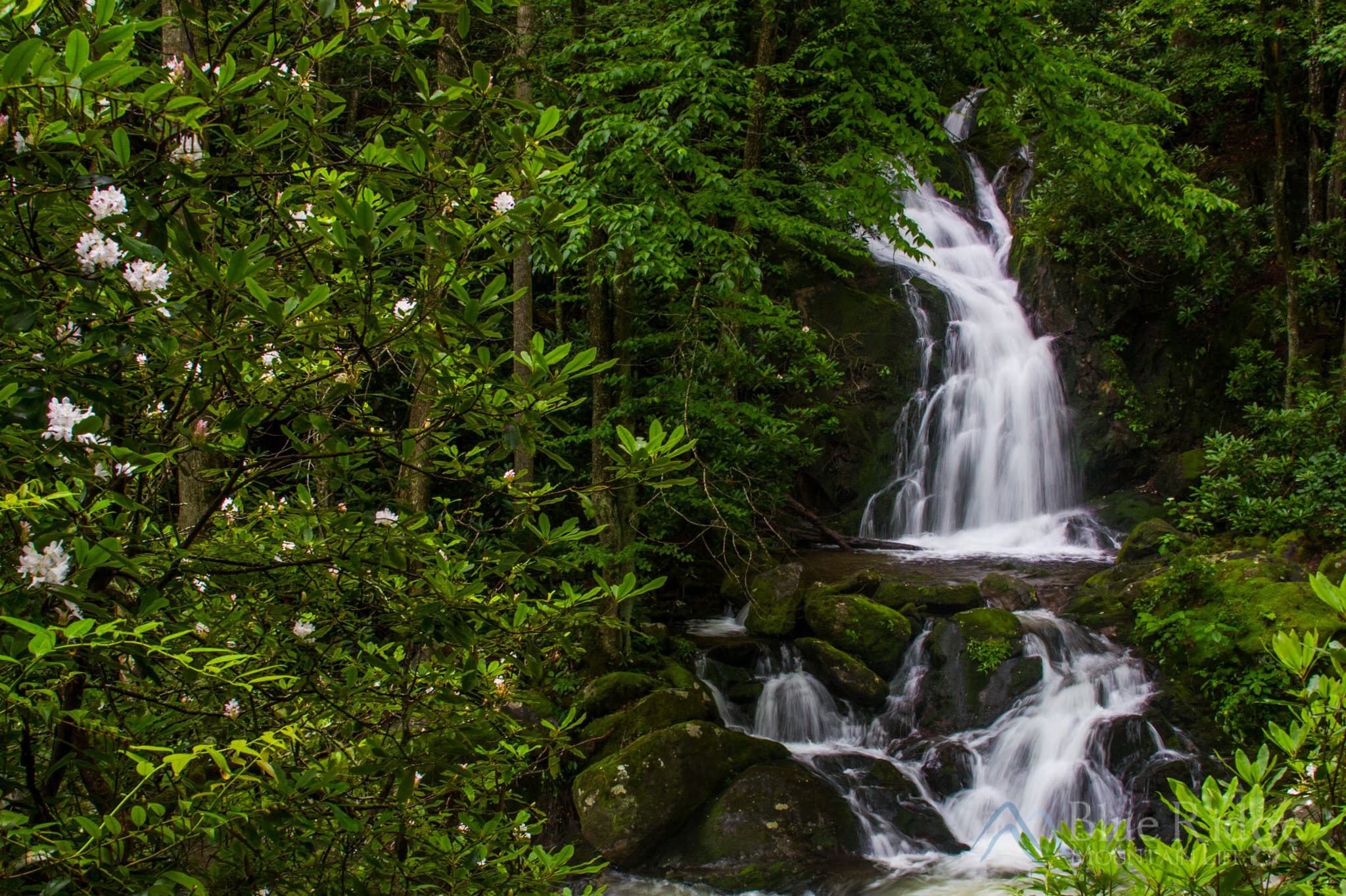 Mouse Creek Falls, Big Creek Mouse Creek Falls, Big Creek
