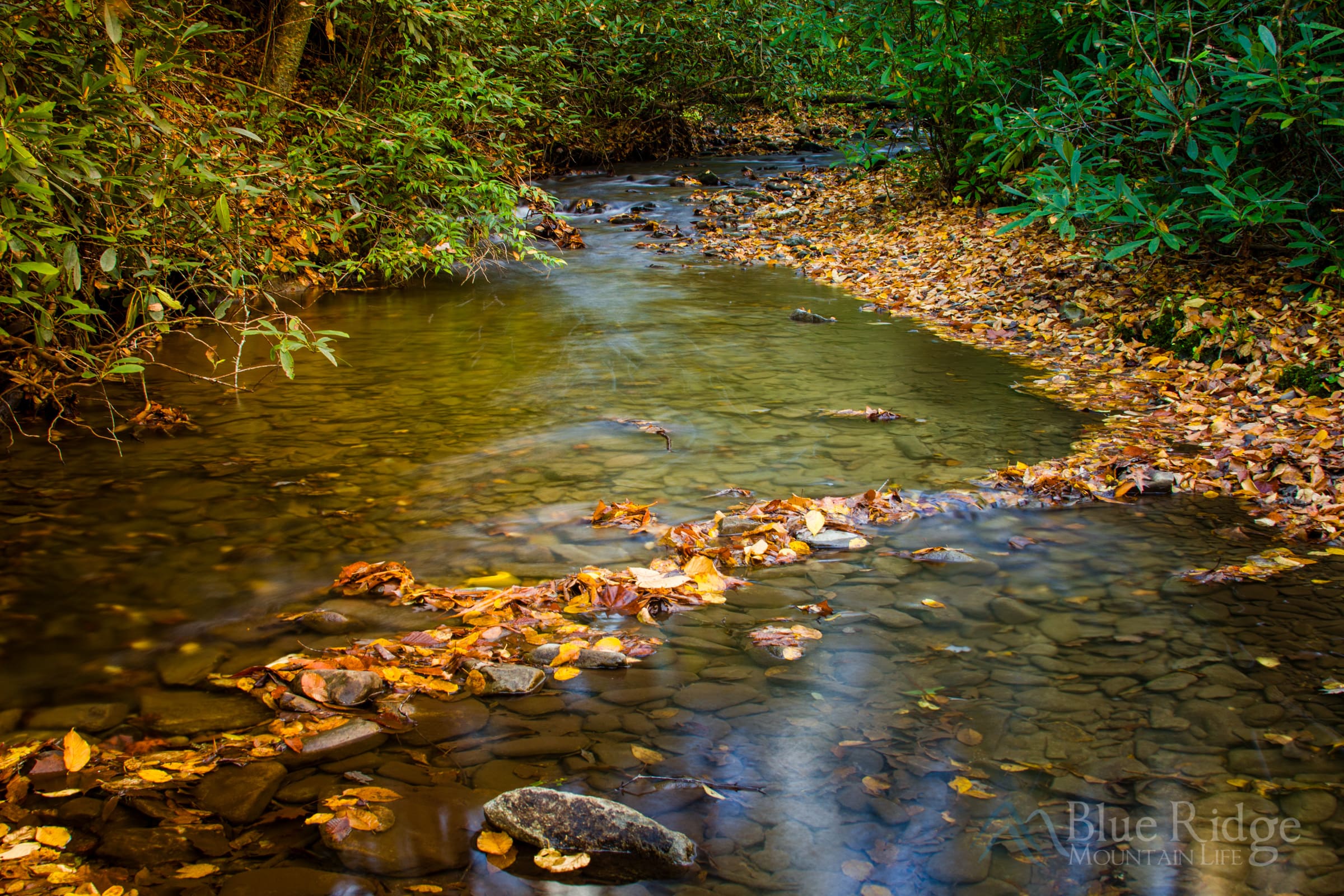 Mingus Creek