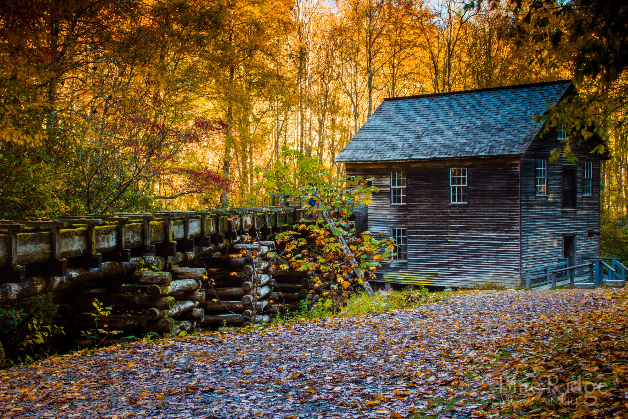 Fall at Mingus Mill