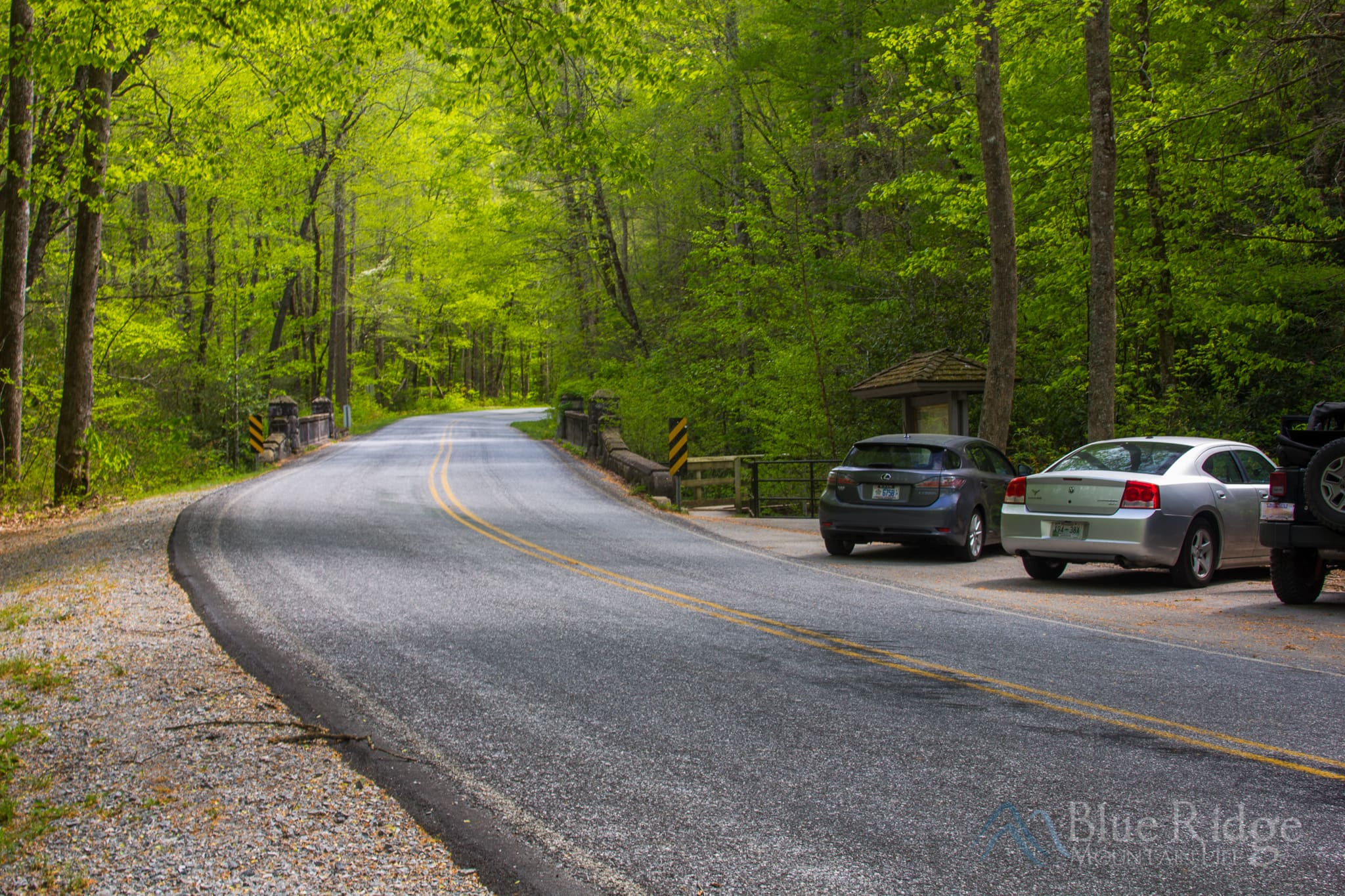 Parking area and trailhead for Moore Cove Falls