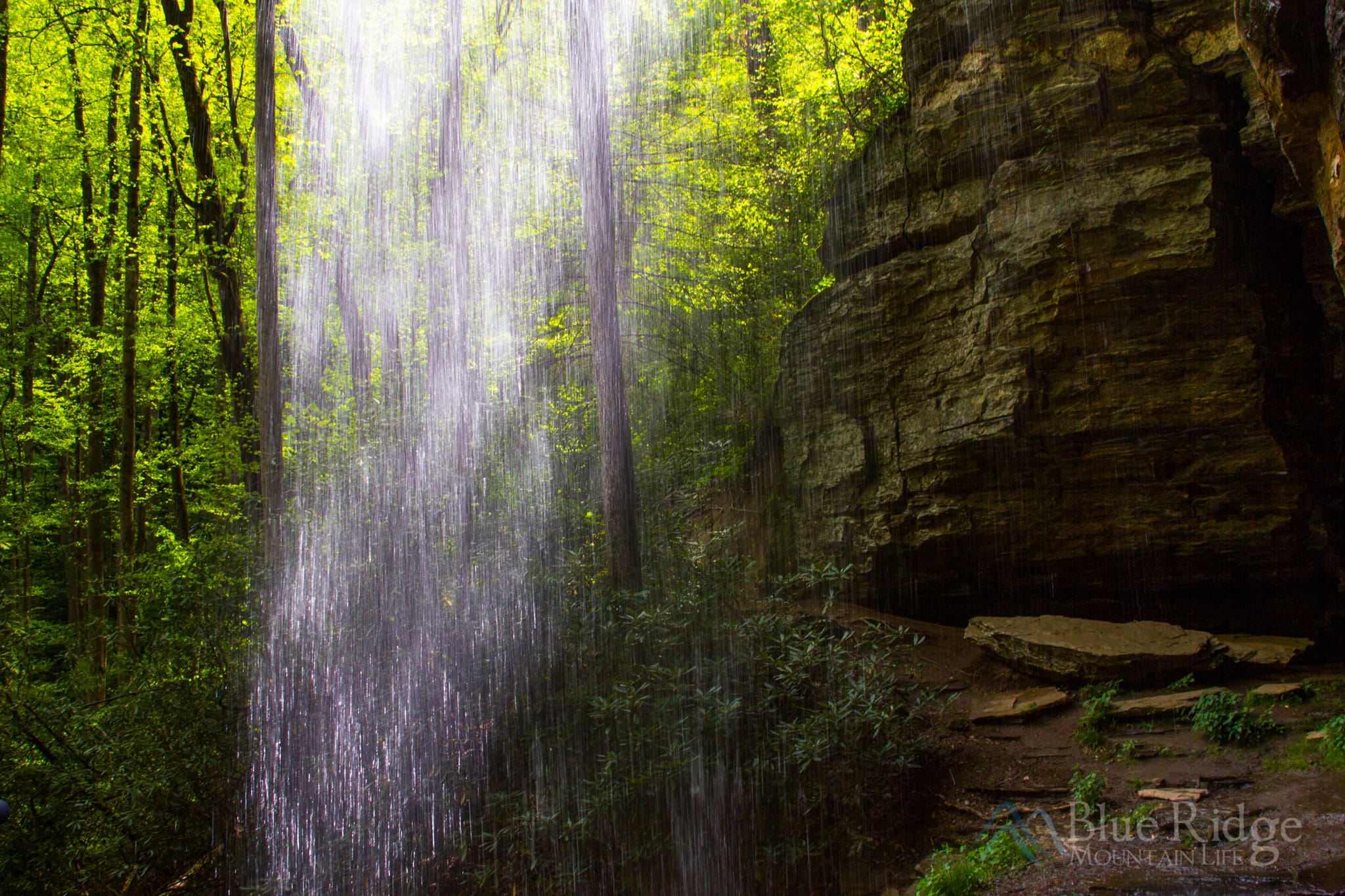 Moore Cove Falls NC