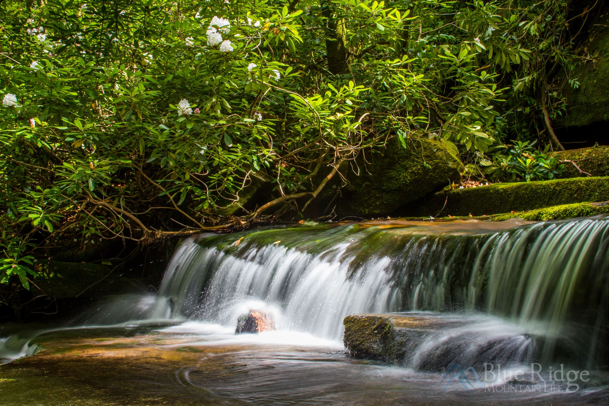 Spring at Grogan Creek Falls NC Spring at Grogan Creek Falls NC
