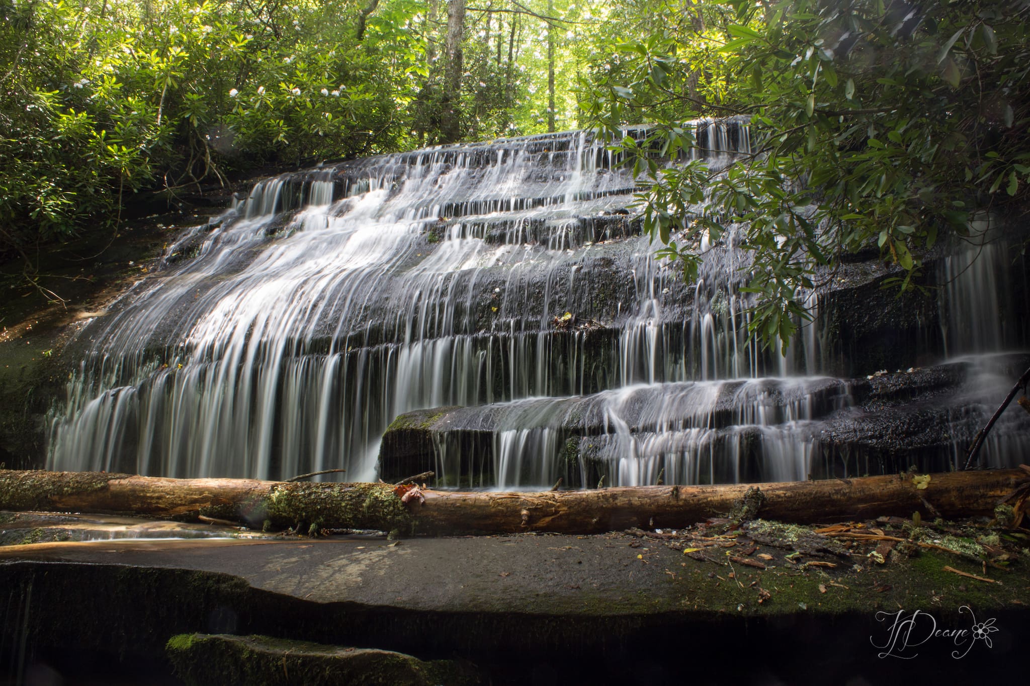 grogan-creek-falls4