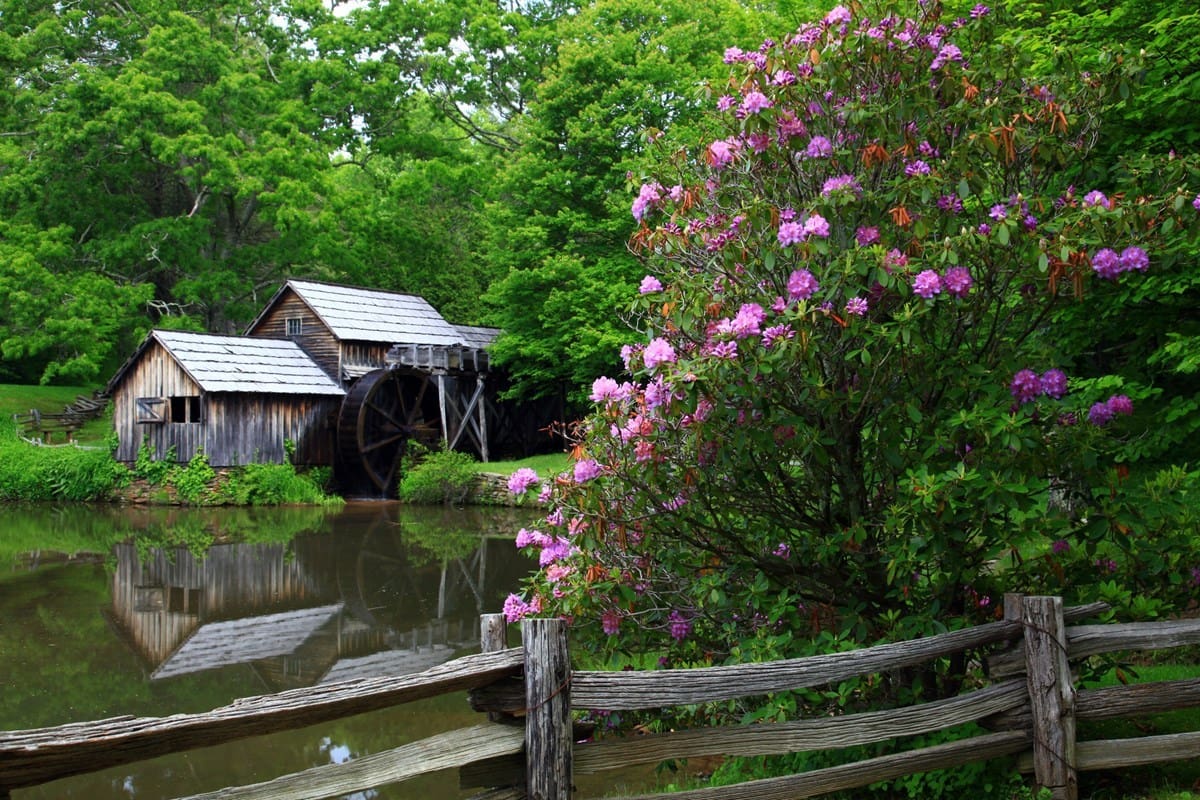 Spring at Mabry Mill