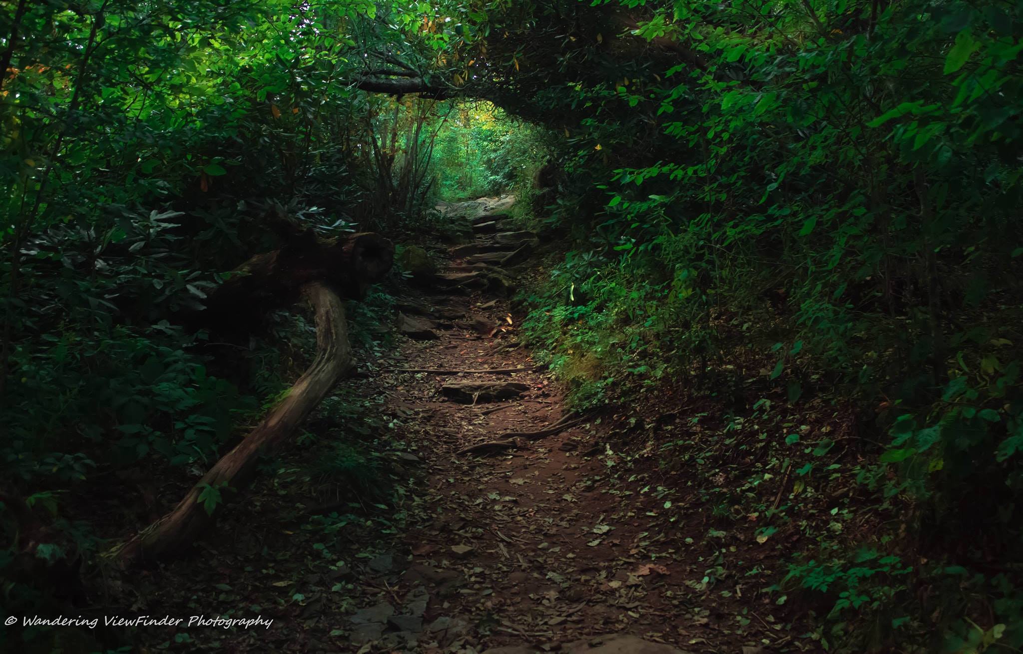 Mount Pisgah Trail