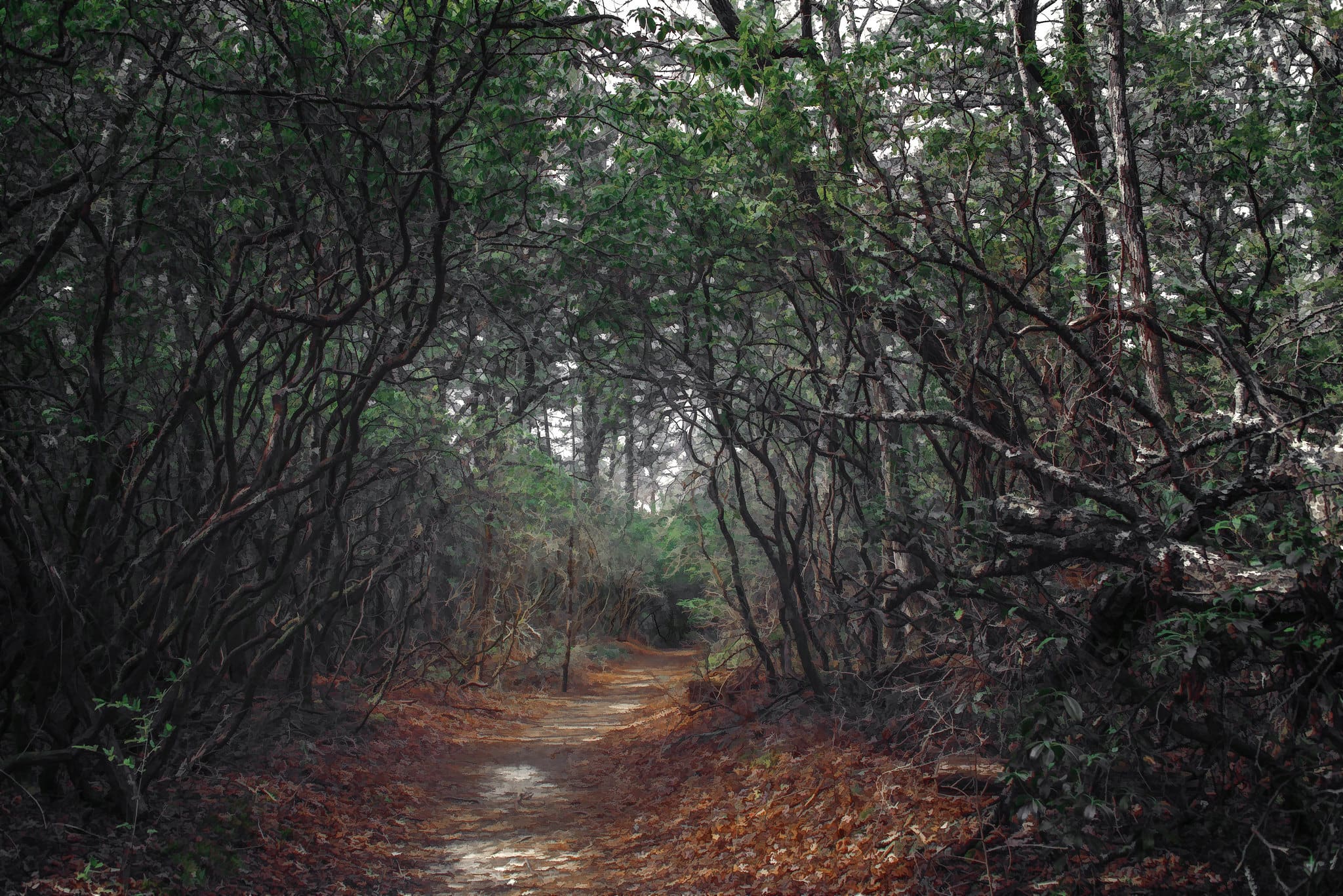 Pink Beds Trail