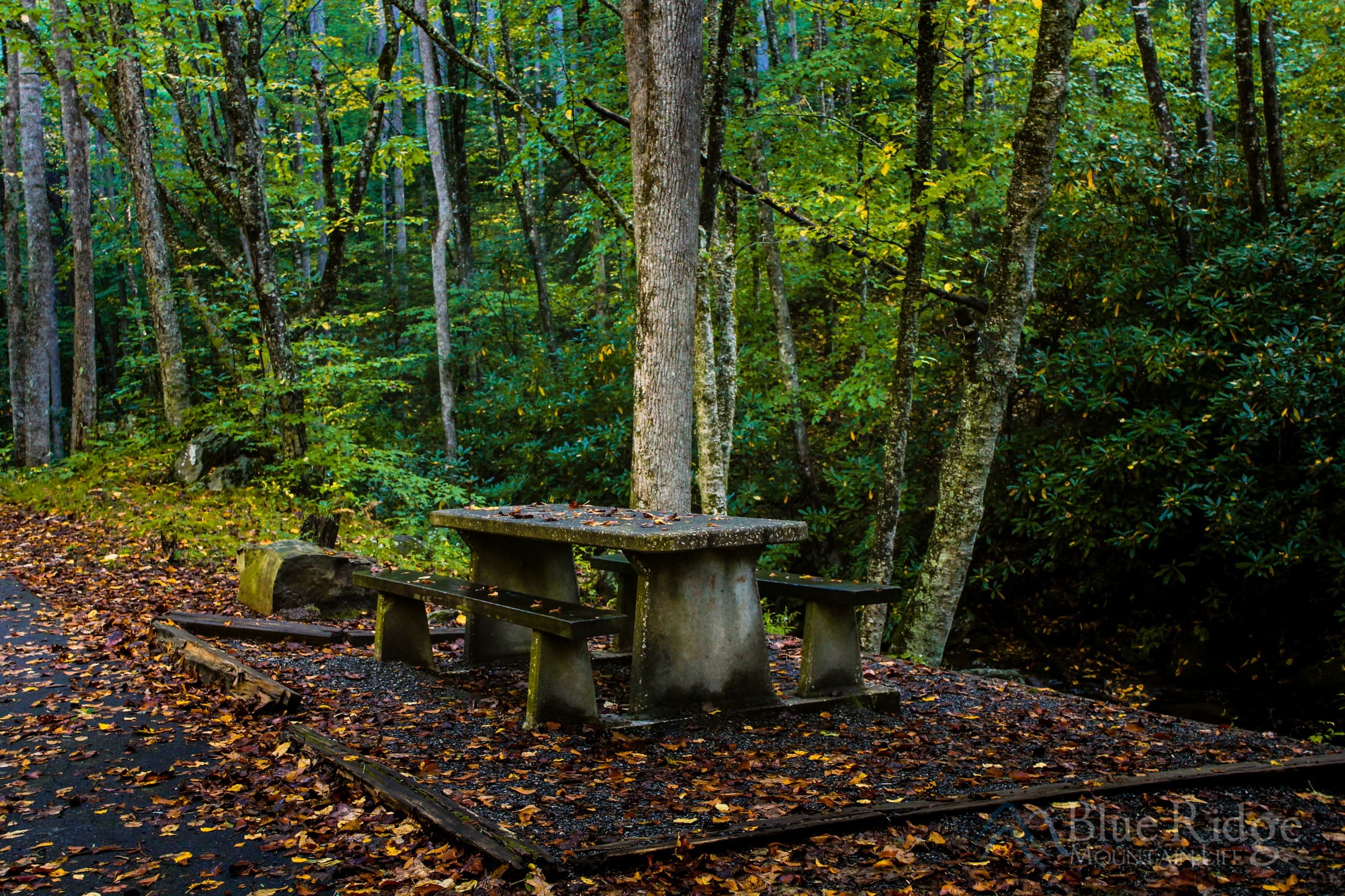 Highway 276, Pisgah National Forest