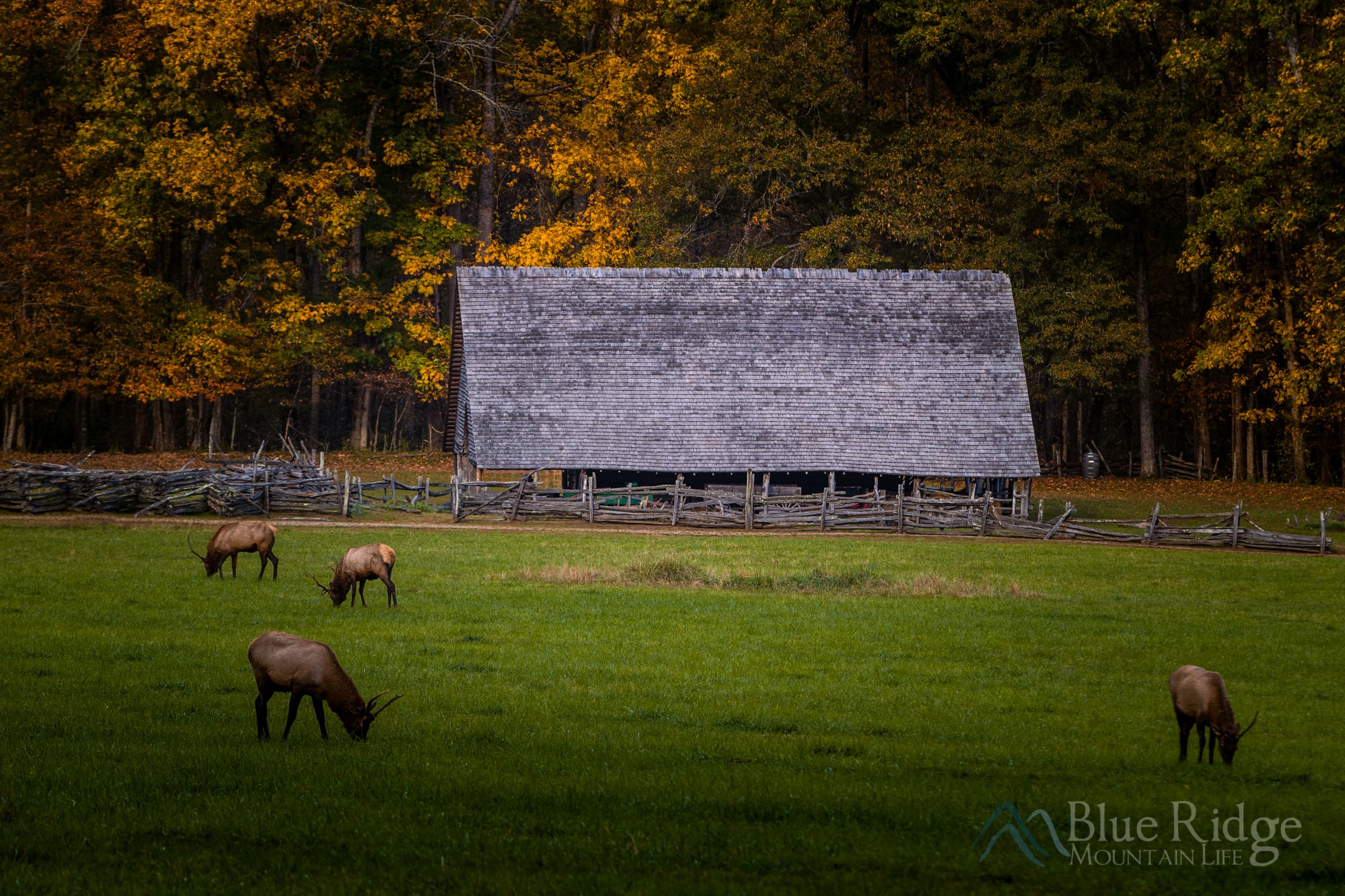 Oconaluftee Visitor Center