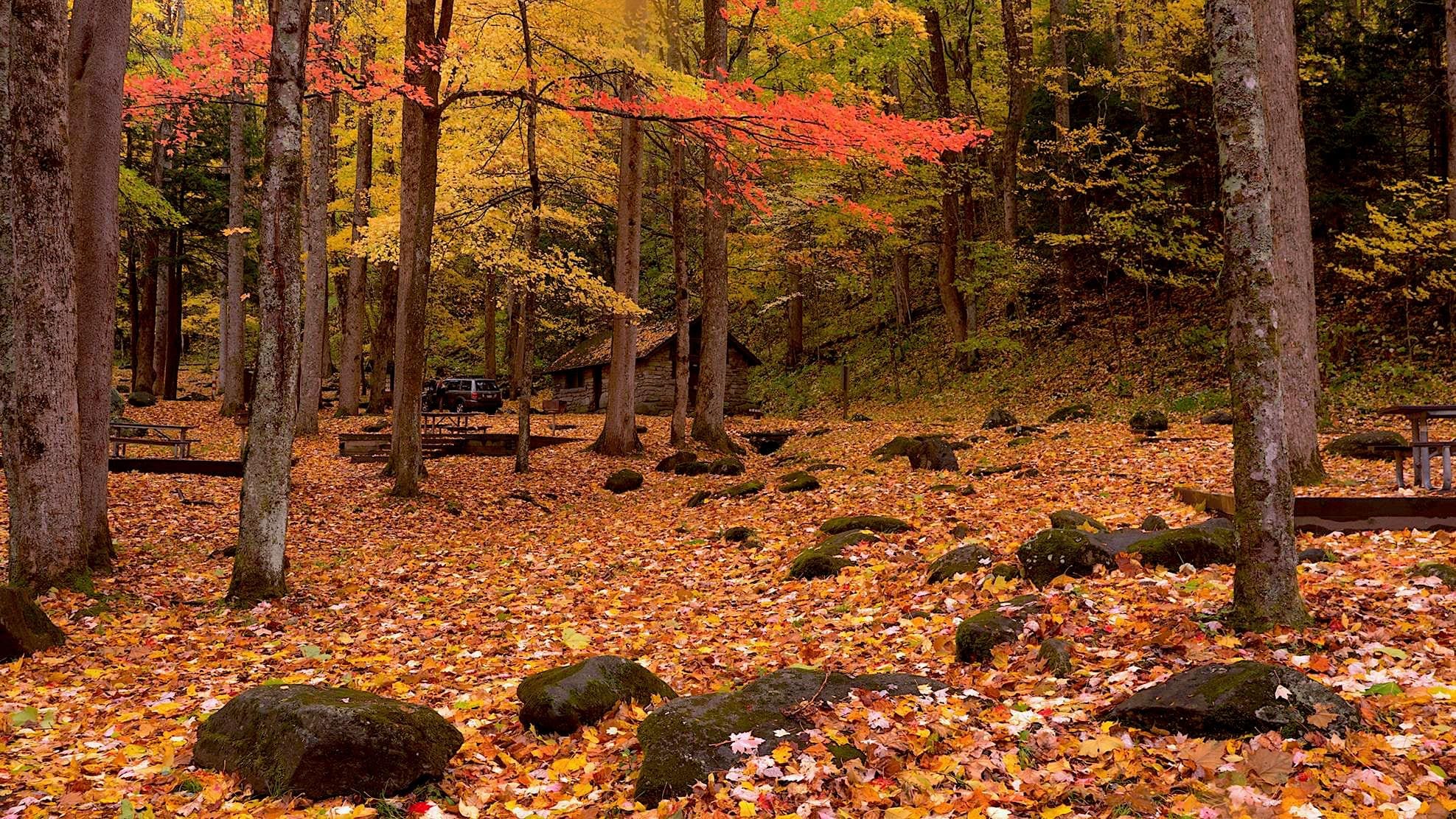 Fall Colors at Chimneys Picnic Area Fall Colors at Chimneys Picnic Area
