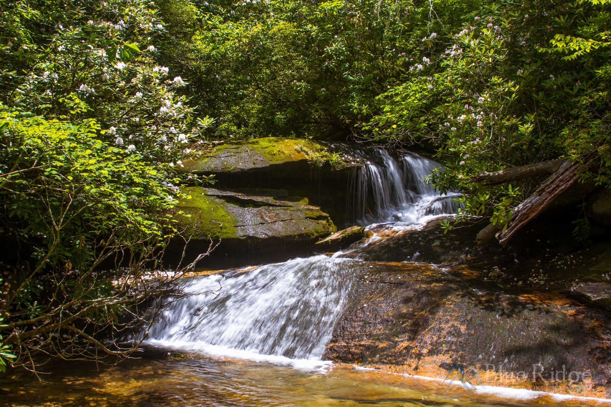 Upper Cedar Level Falls, Pisgah National Forest