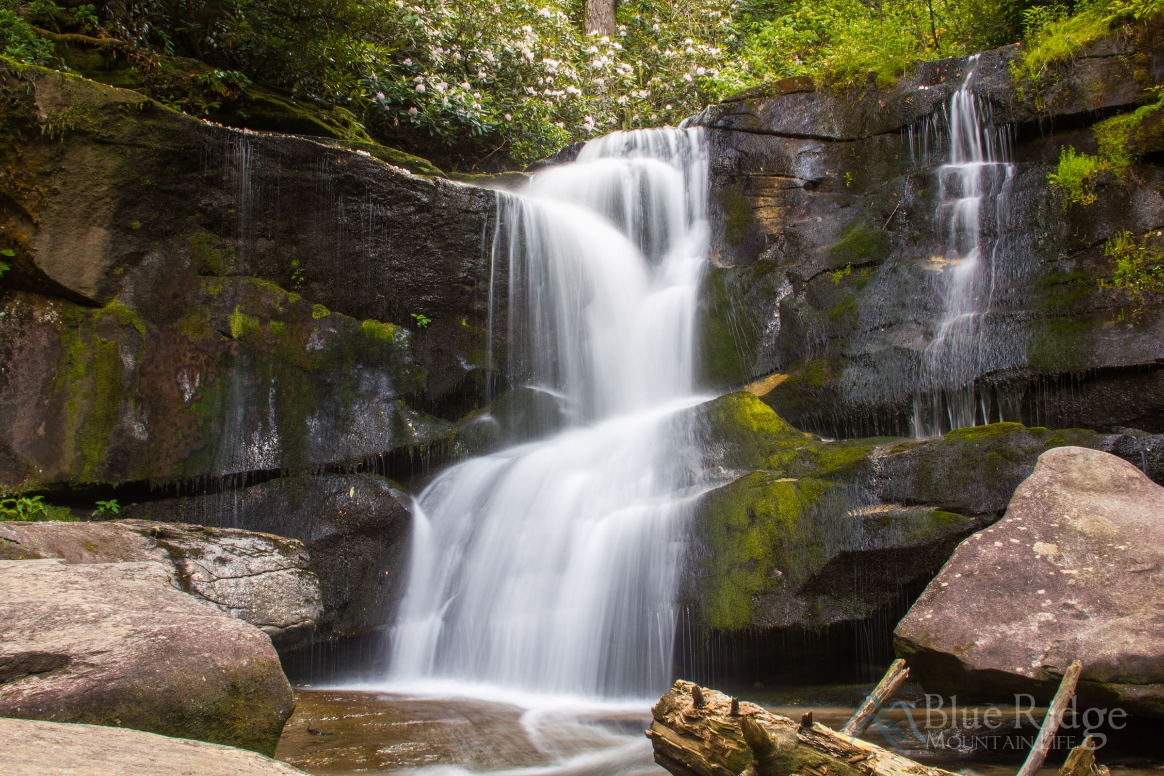 Cedar Rock Falls, Pisgah National Forest