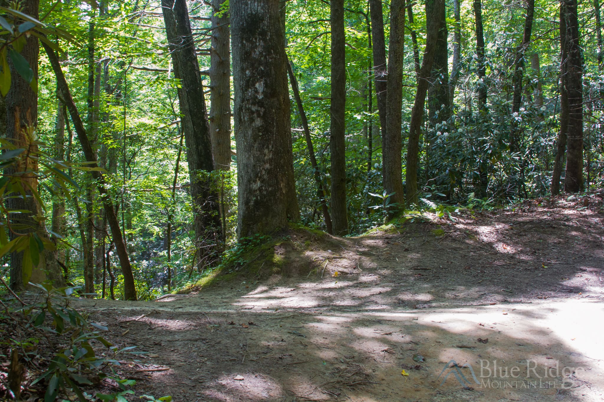Cedar Rock Falls Trail Spur