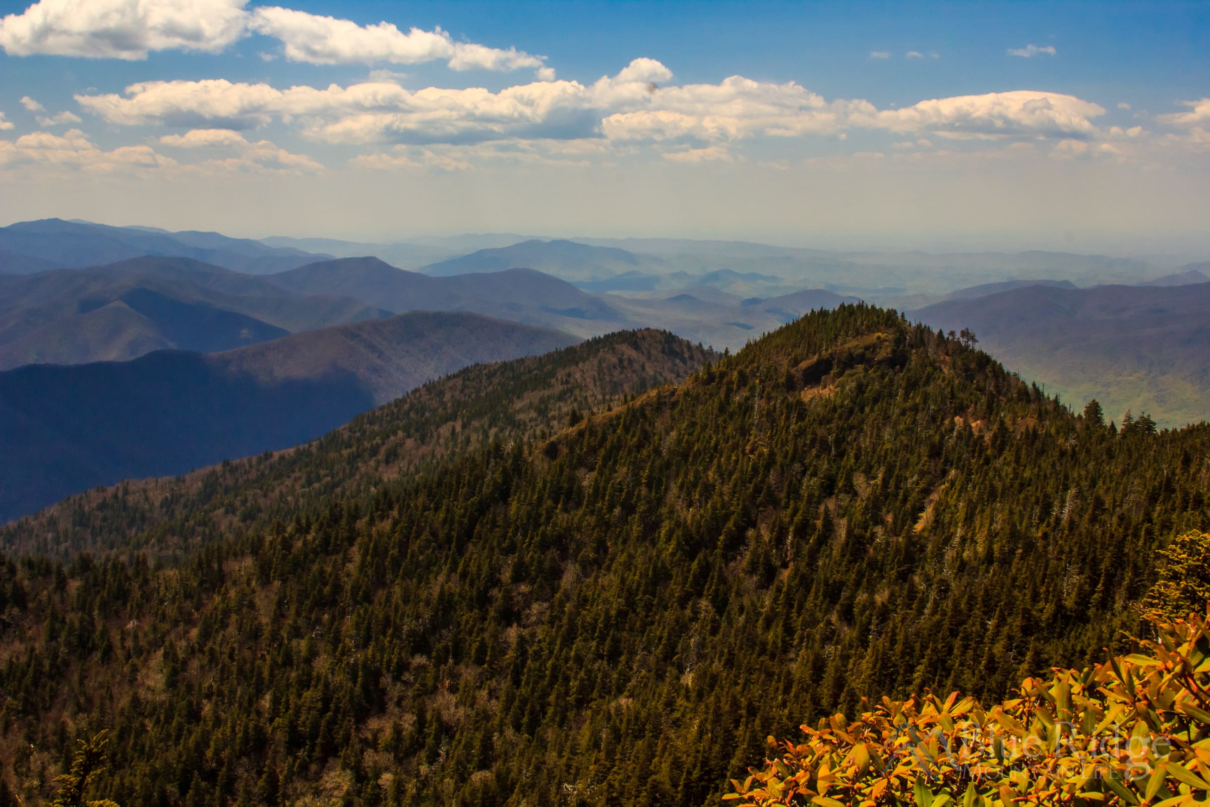 Top of Mount LeConte