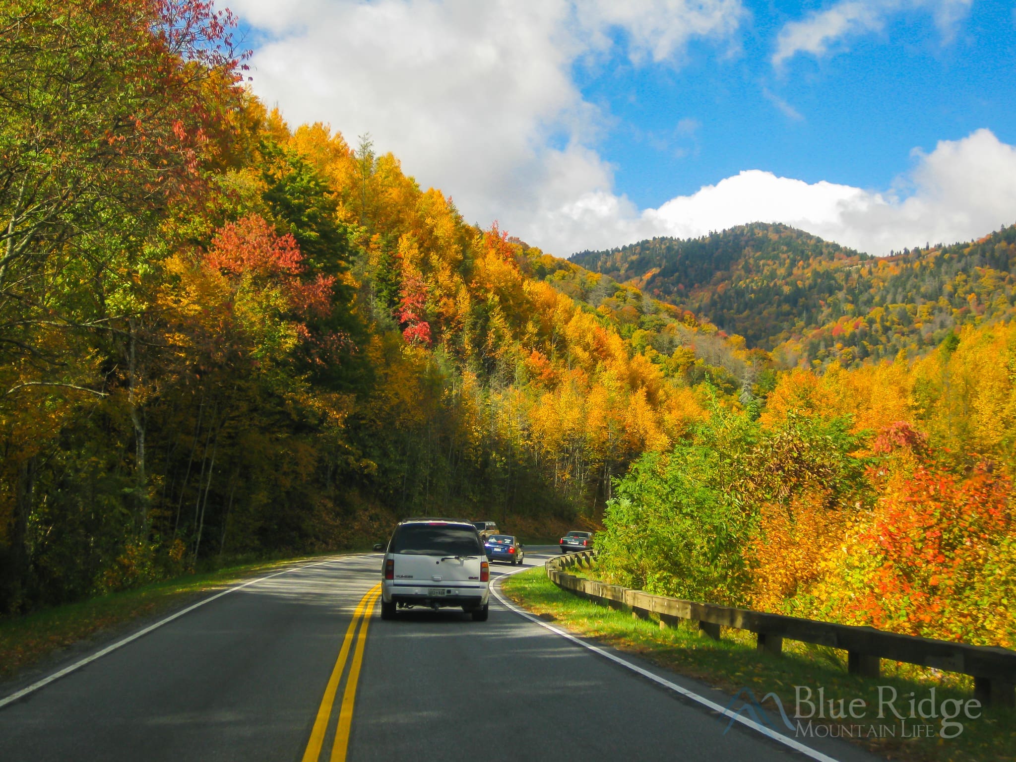 Fall on Newfound Gap Rd