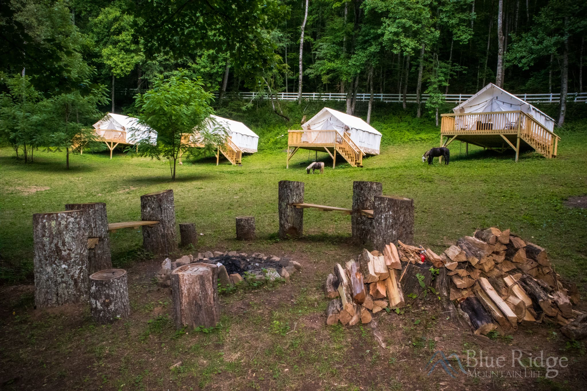 Glamping - Nurture + Nature Glamping - Nurture + Nature