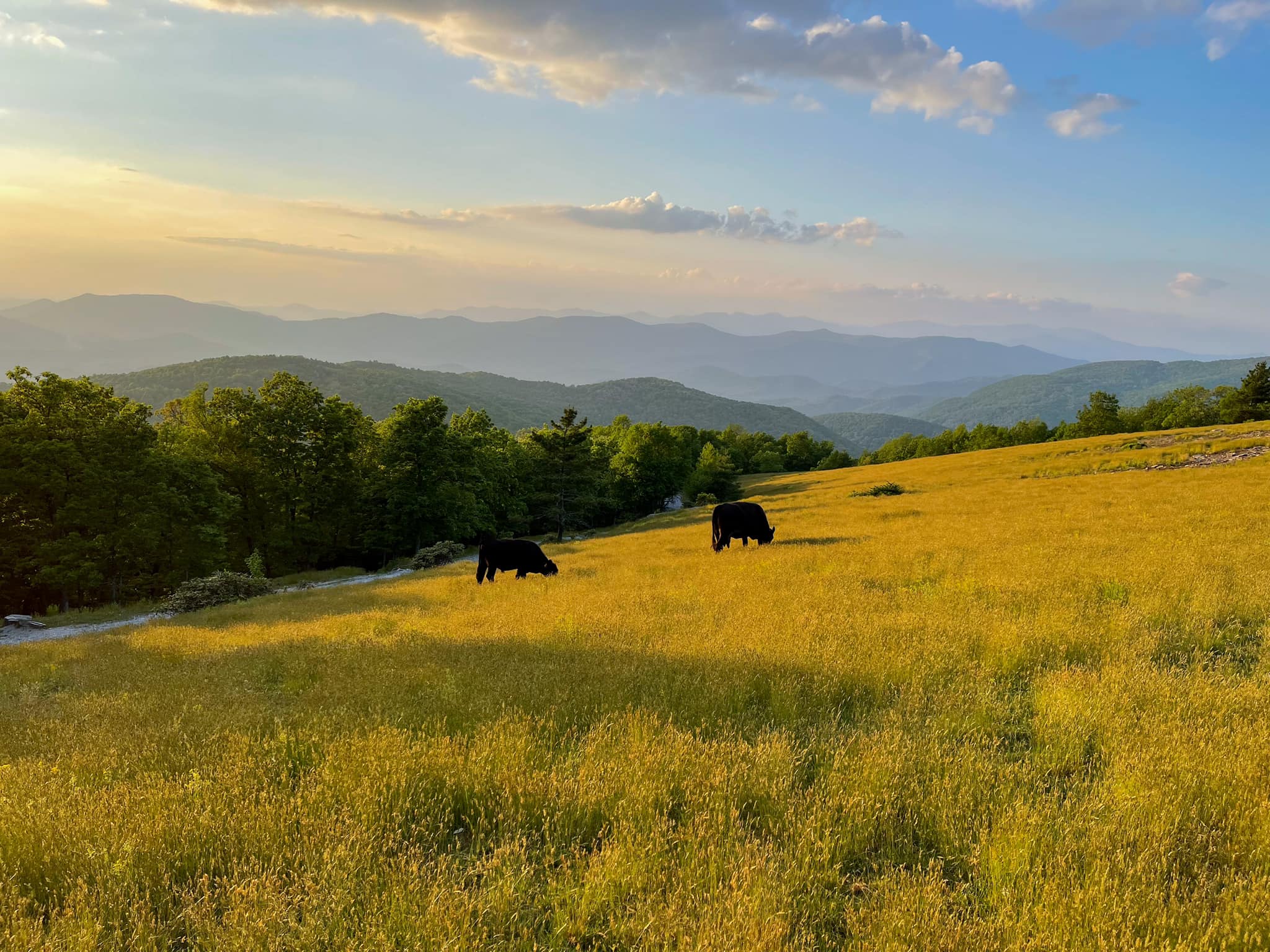 Bearwallow Mountain