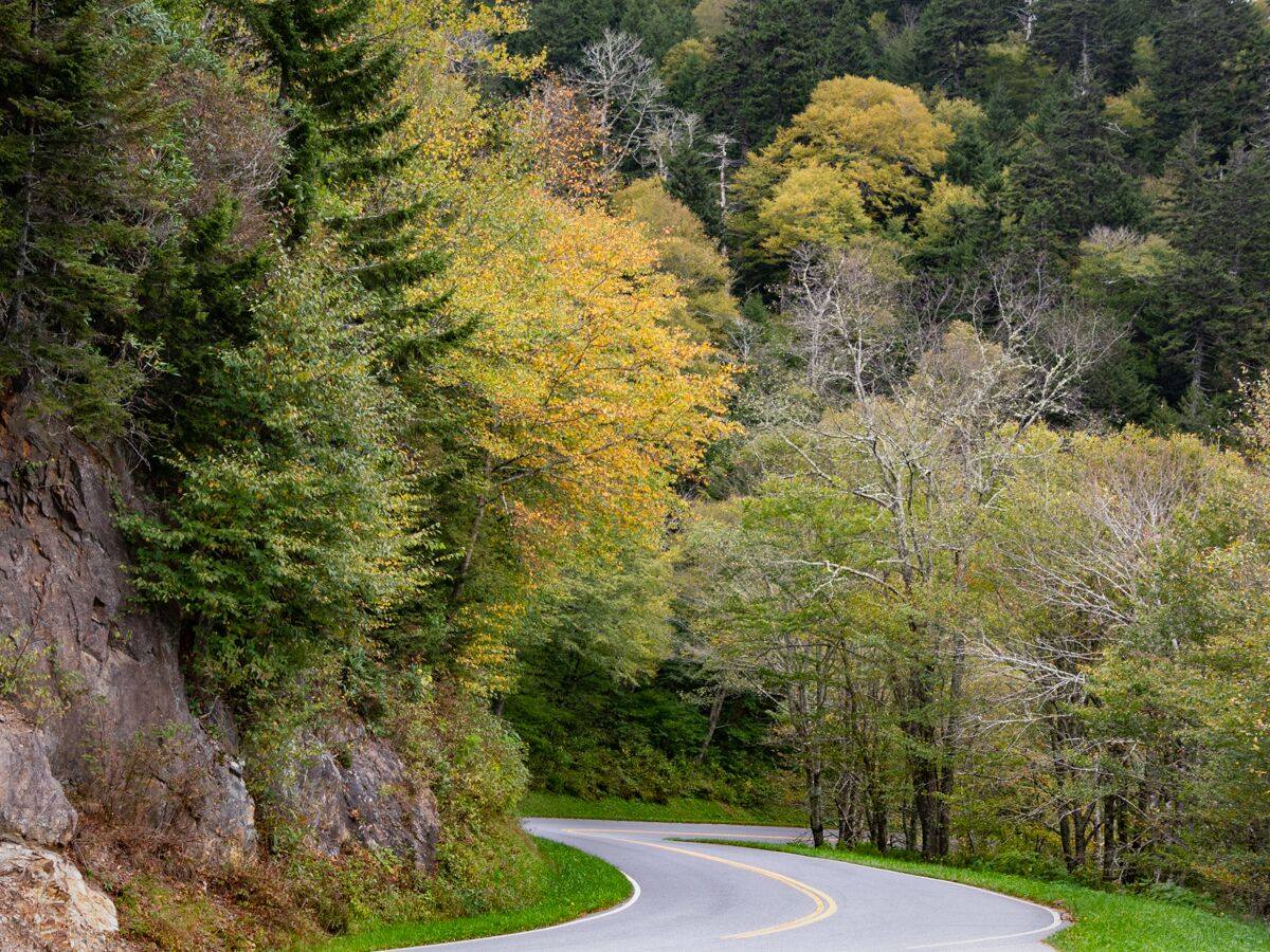 Clingmans Dome Road Clingmans Dome Road