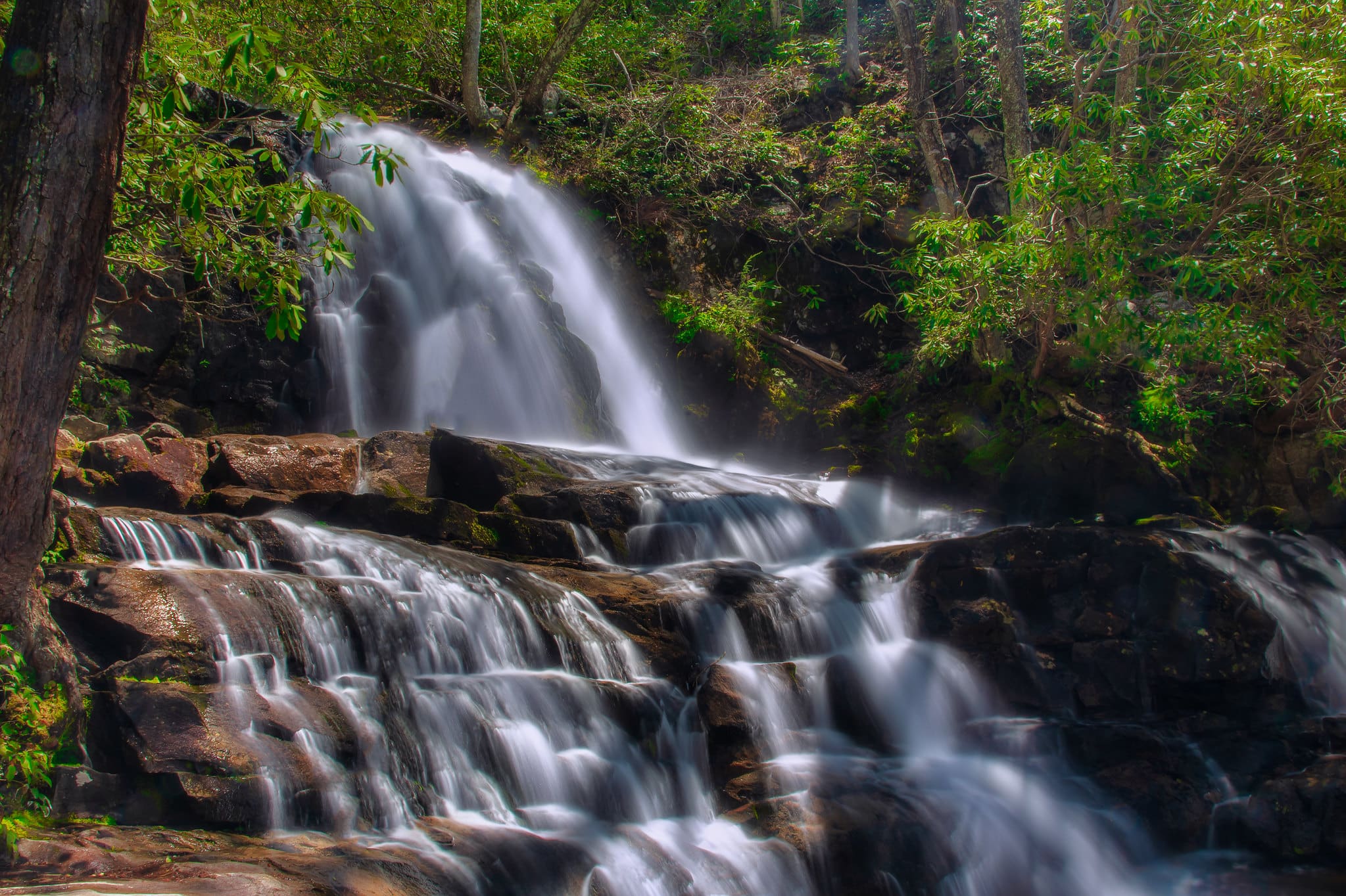 Laurel Falls Great Smoky Mountains National Park Laurel Falls Great Smoky Mountains National Park